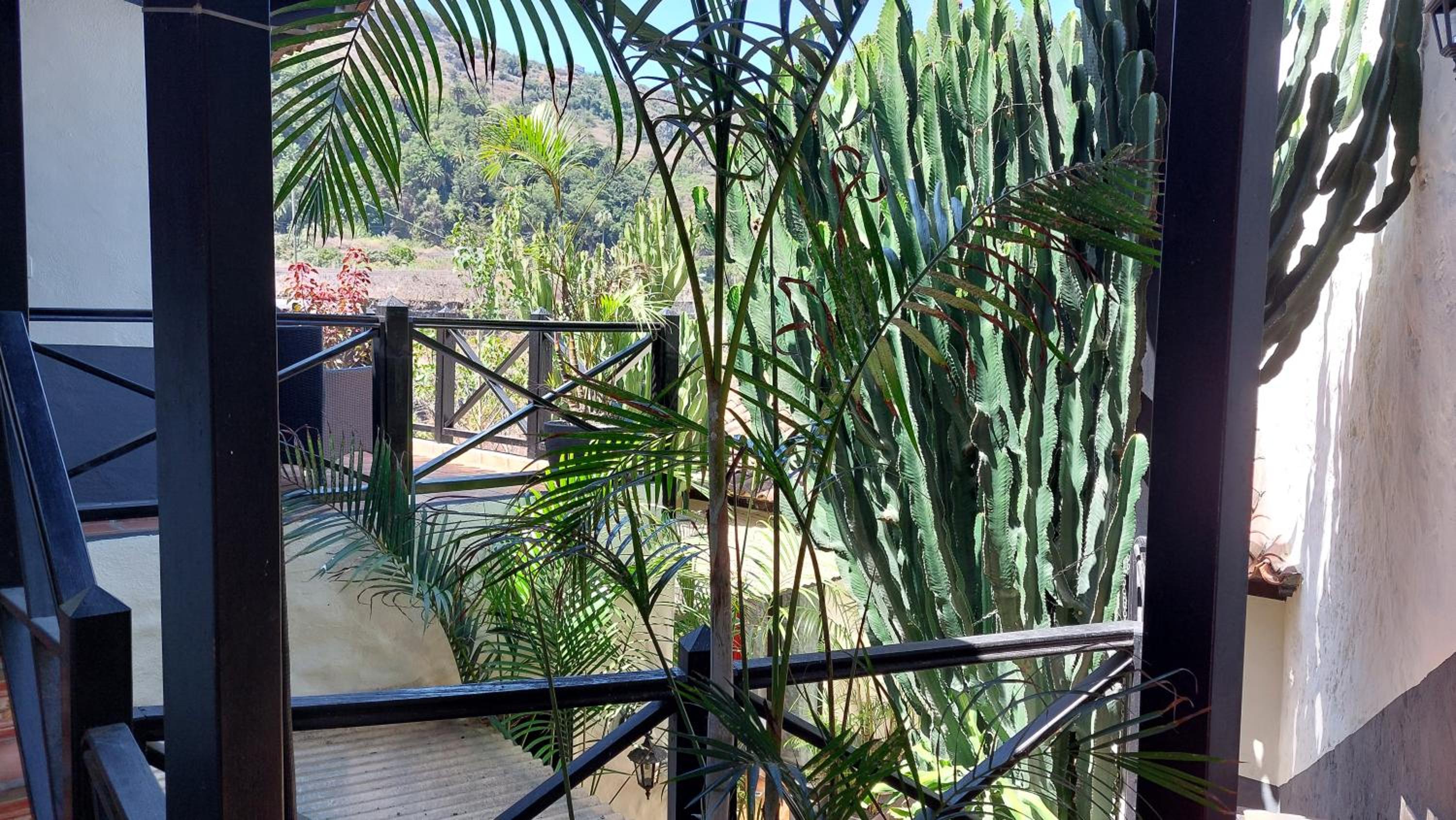 Apartment with Sea View (2 Adults) - Photo 11