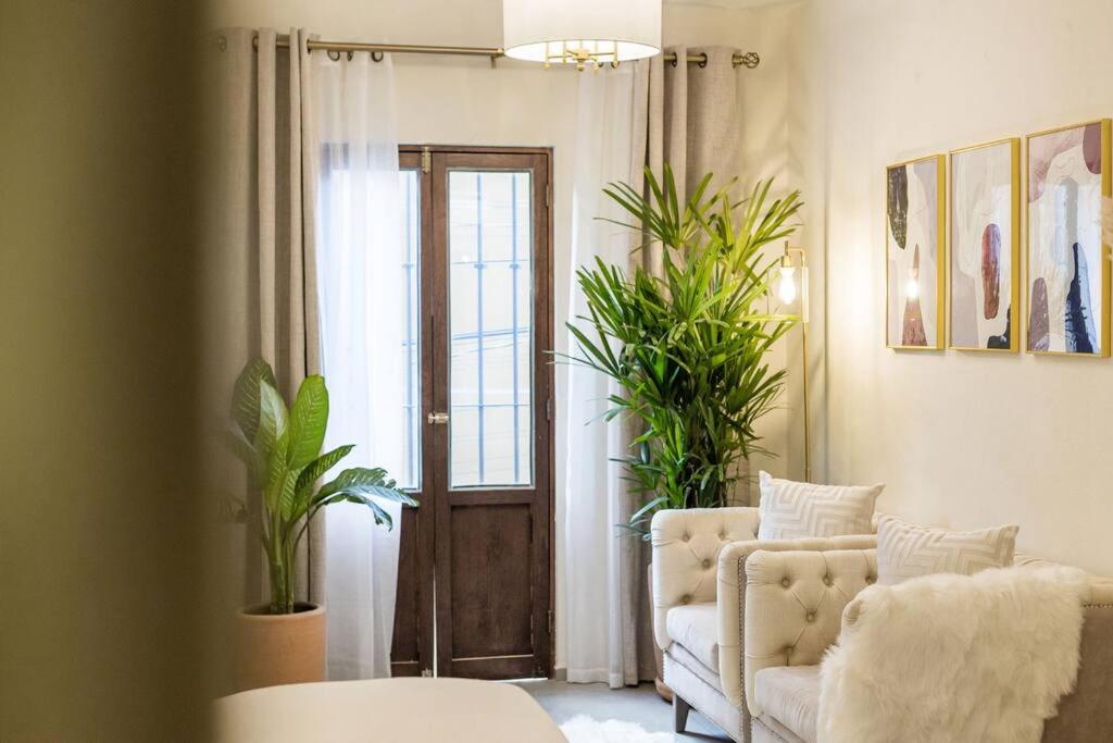One-Bedroom House photo 2
