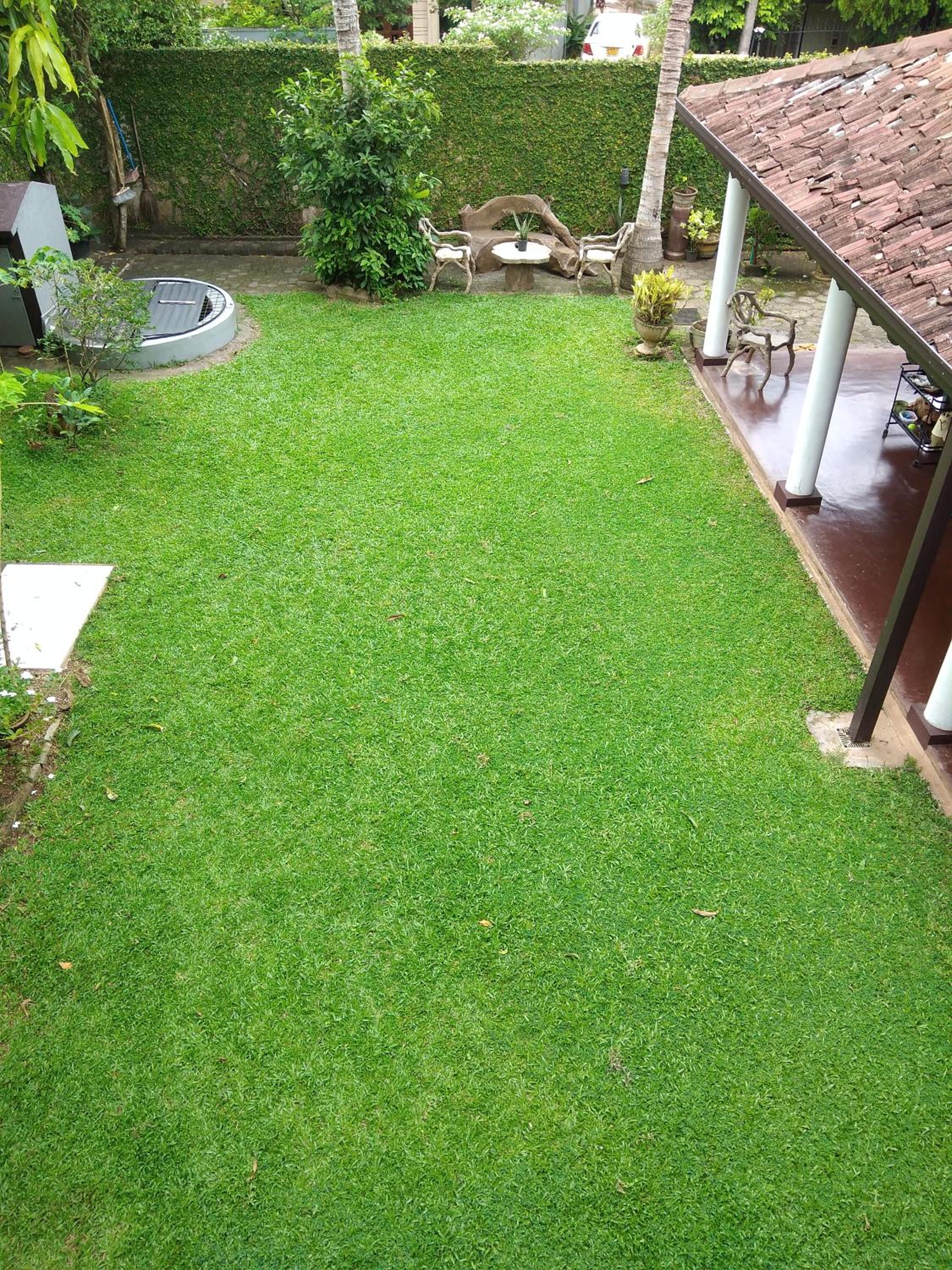 Double Room with Garden View photo 1