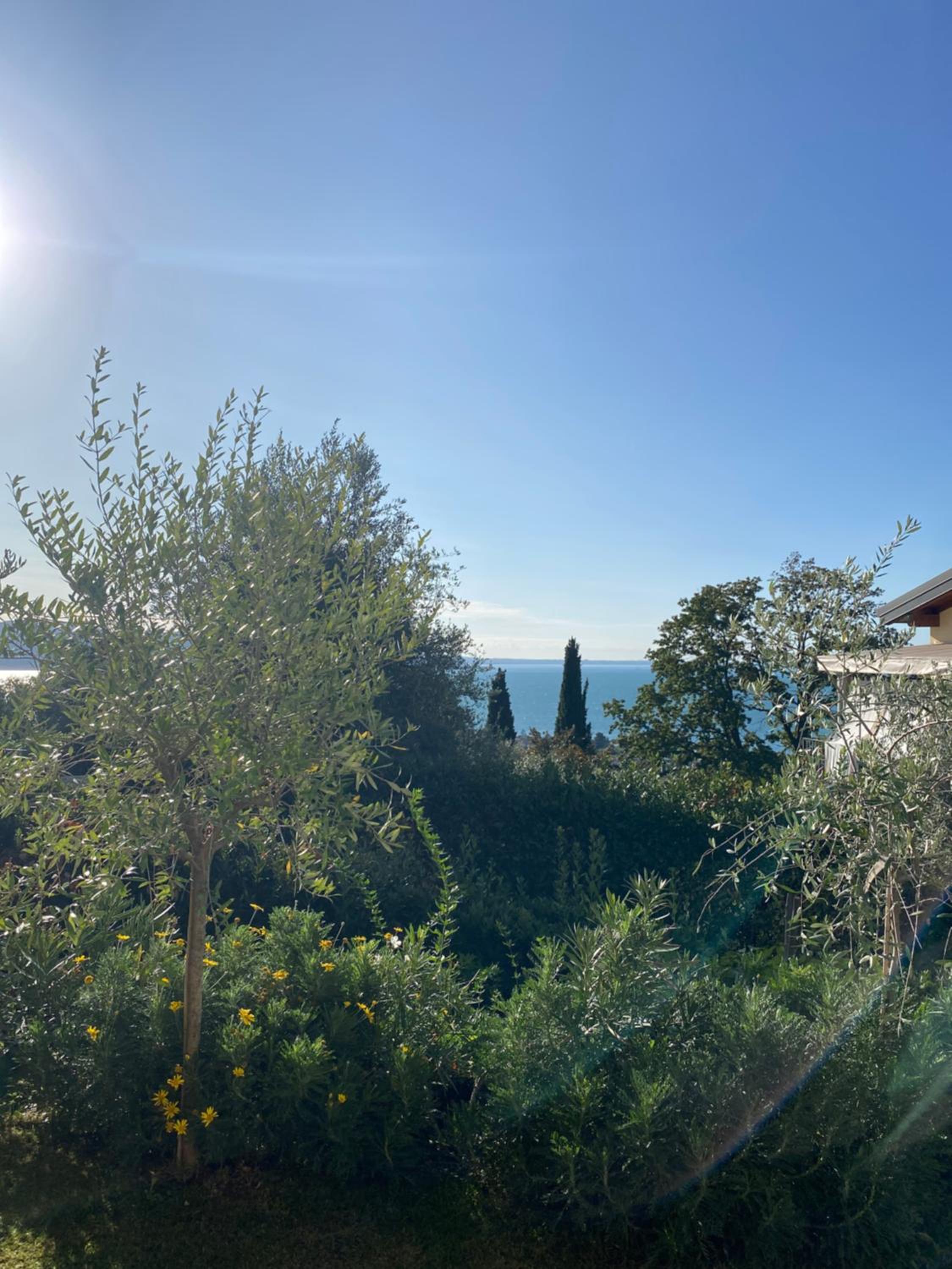 Villa photo 3