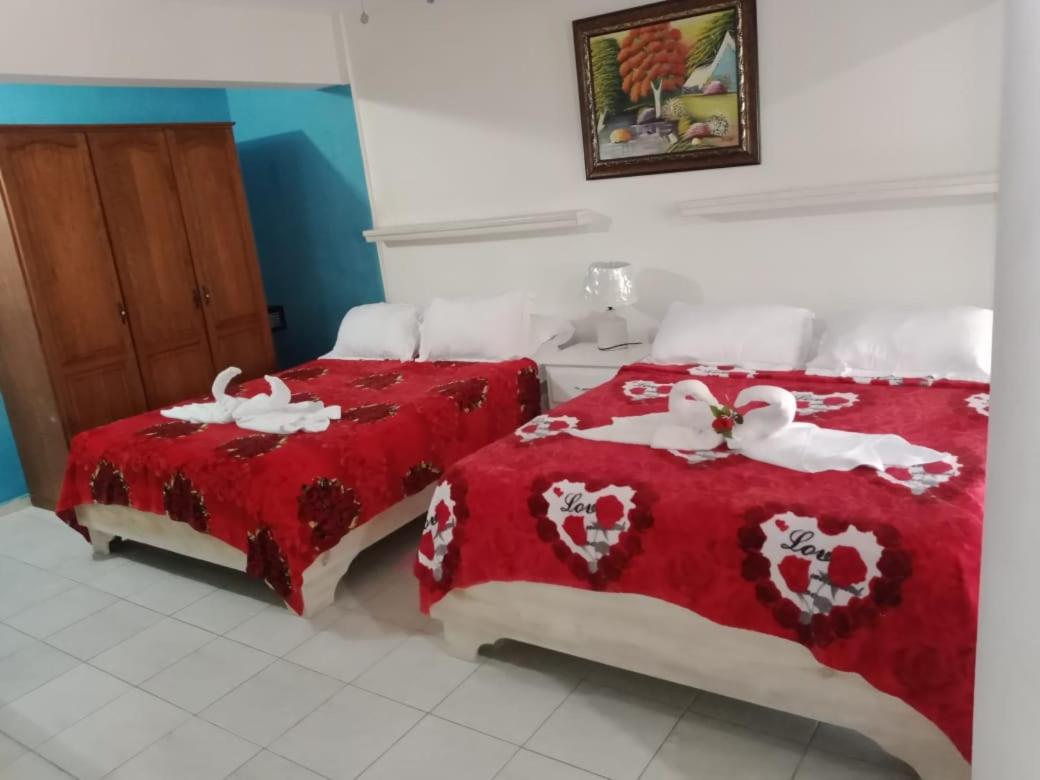 One-Bedroom Apartment (4 Adults) photo 3