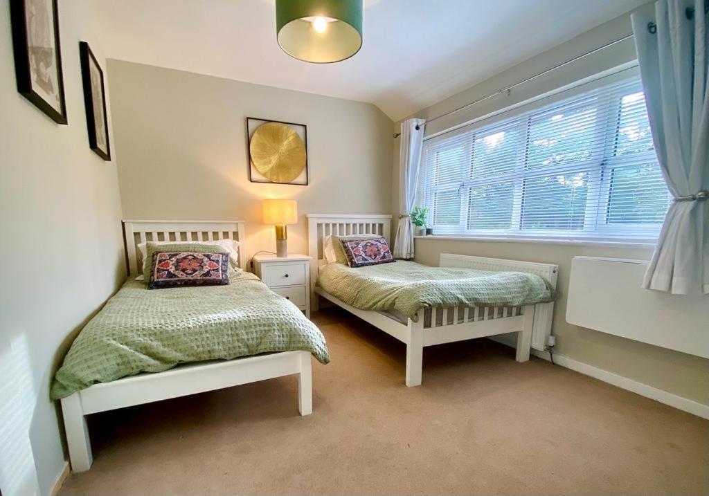 Twin Room photo 2