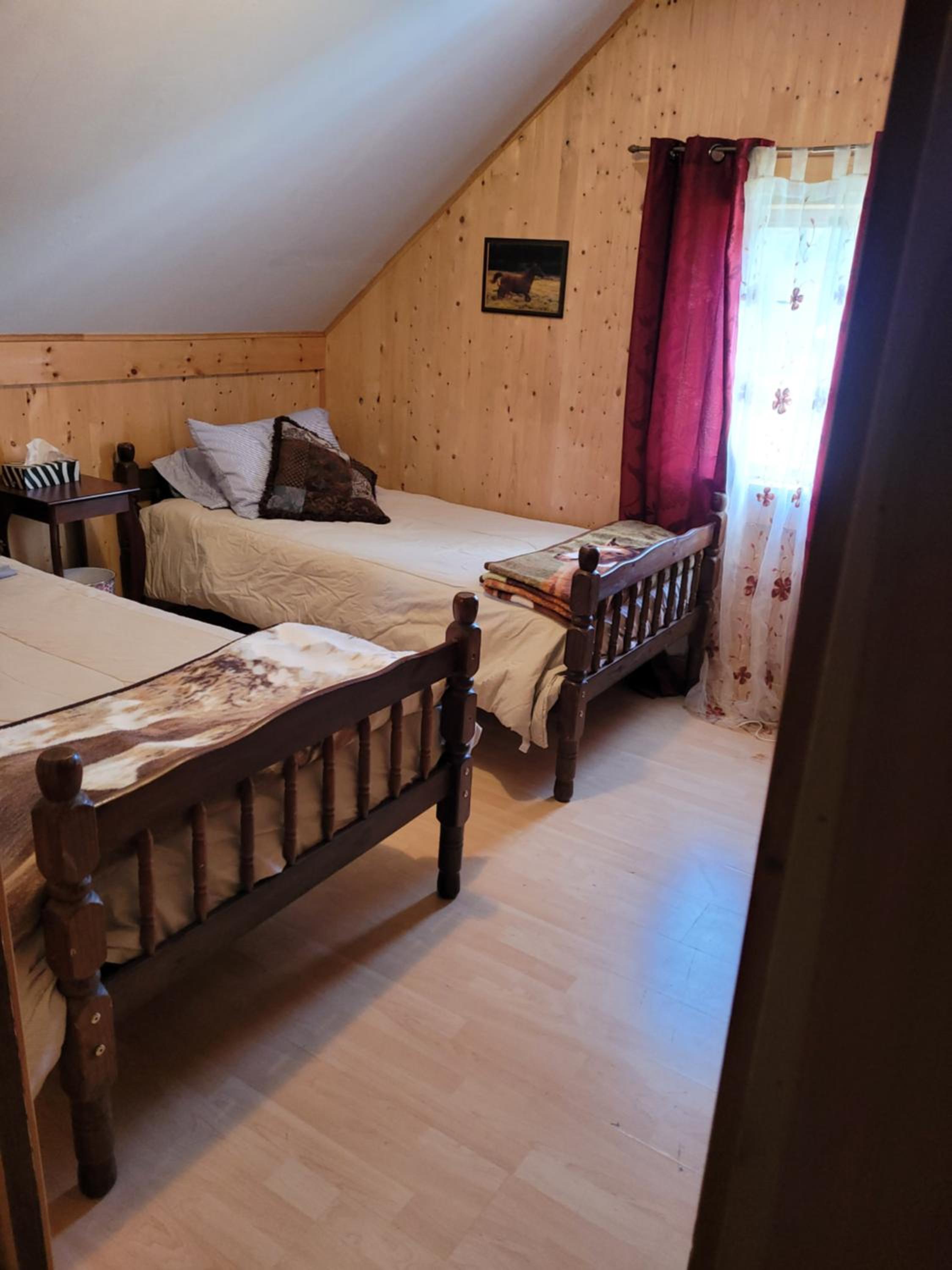 Double or Twin Room photo 1
