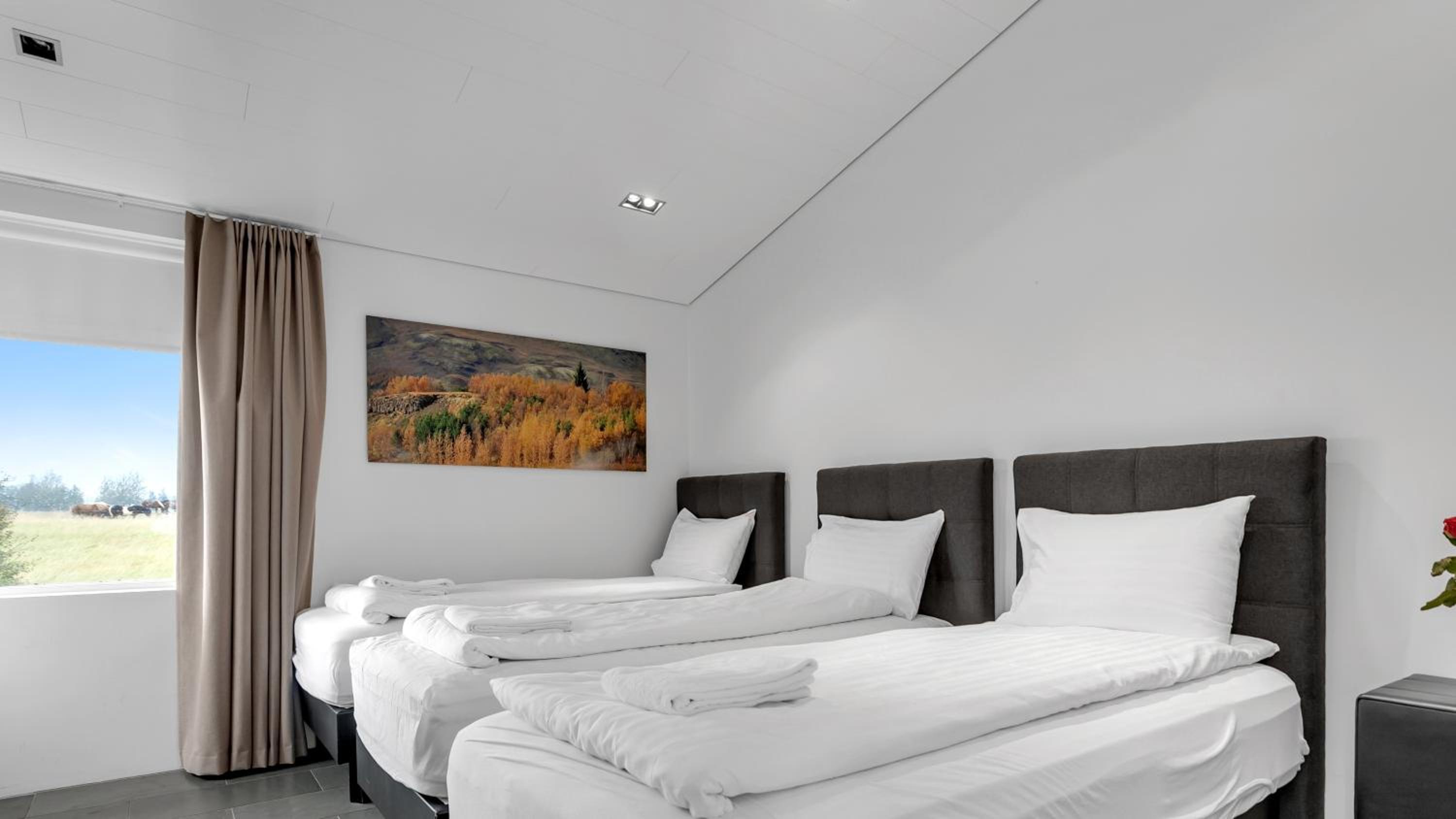 Deluxe Villa - Photo 17