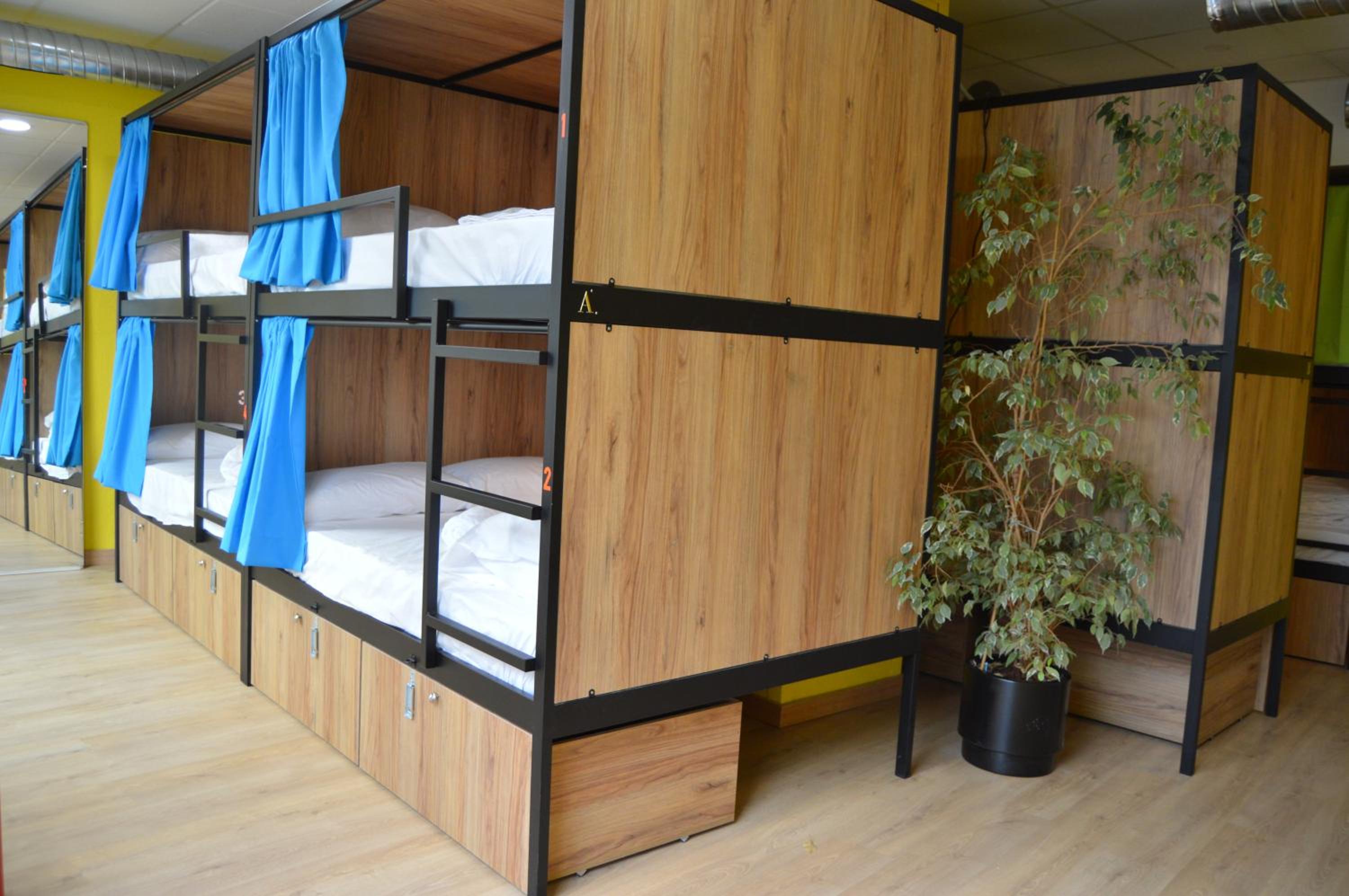 Bunk Bed in Mixed Dormitory Room photo 3
