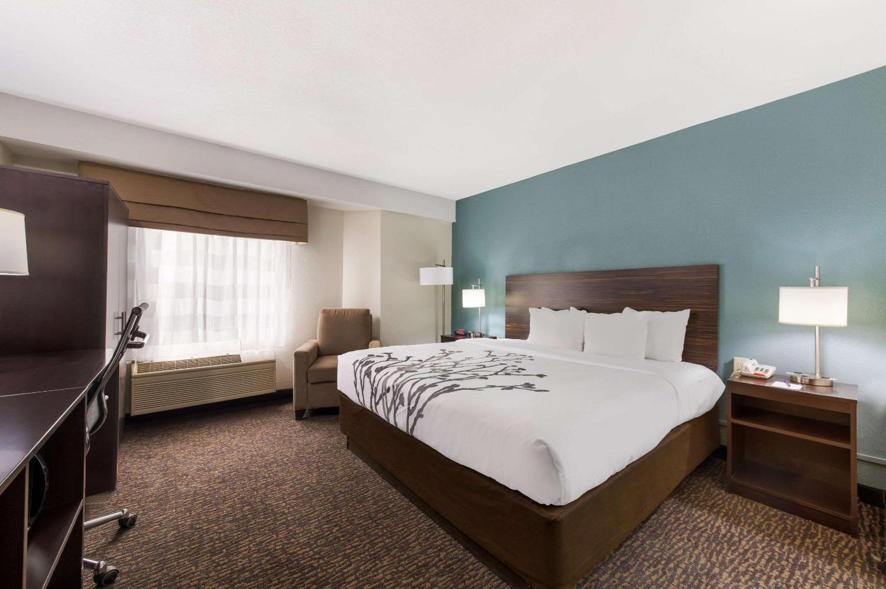 King Room - Non Smoking - Photo 1