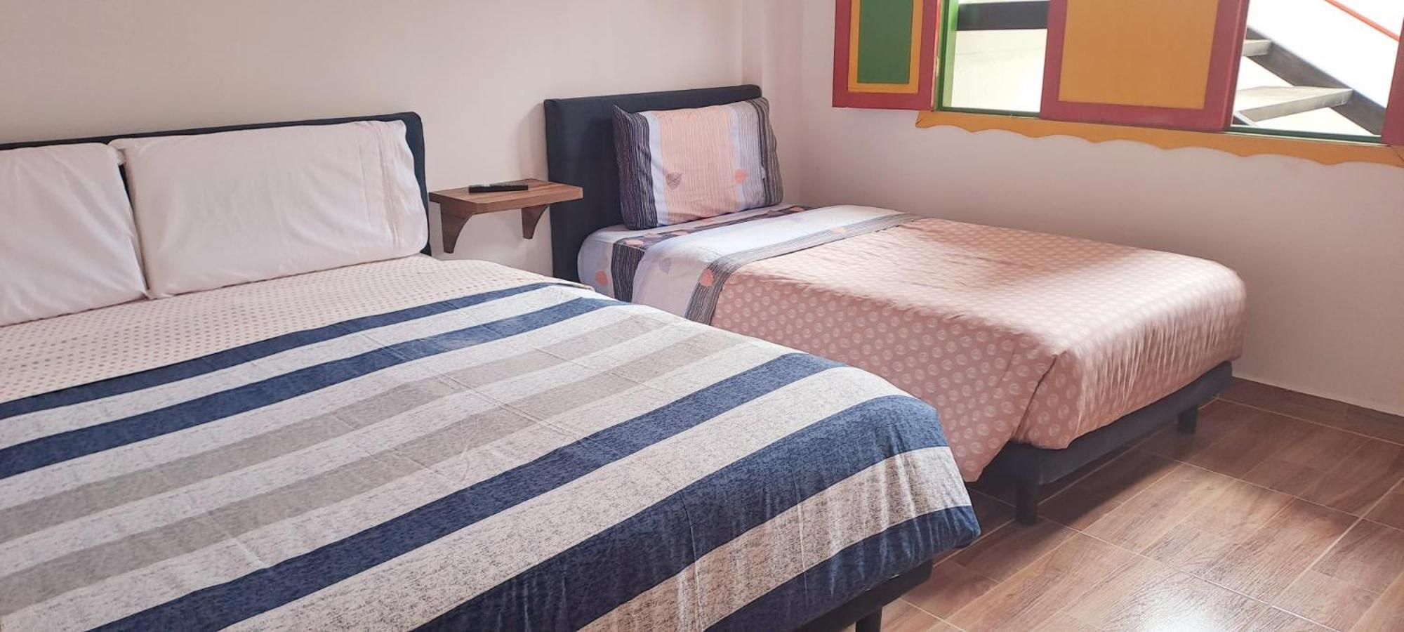 Twin Room photo 1
