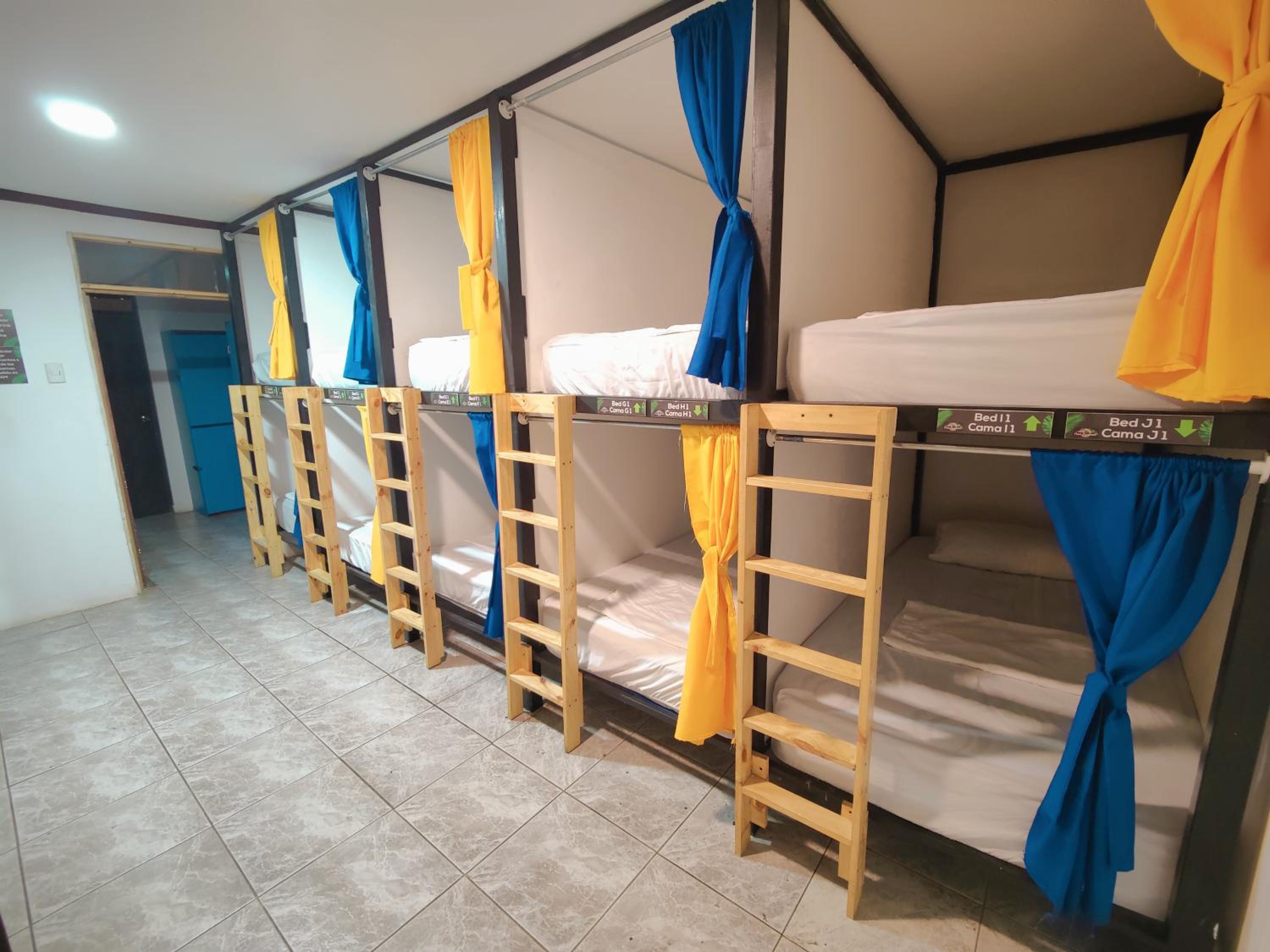 Bed in 10-Bed Mixed Dormitory Room