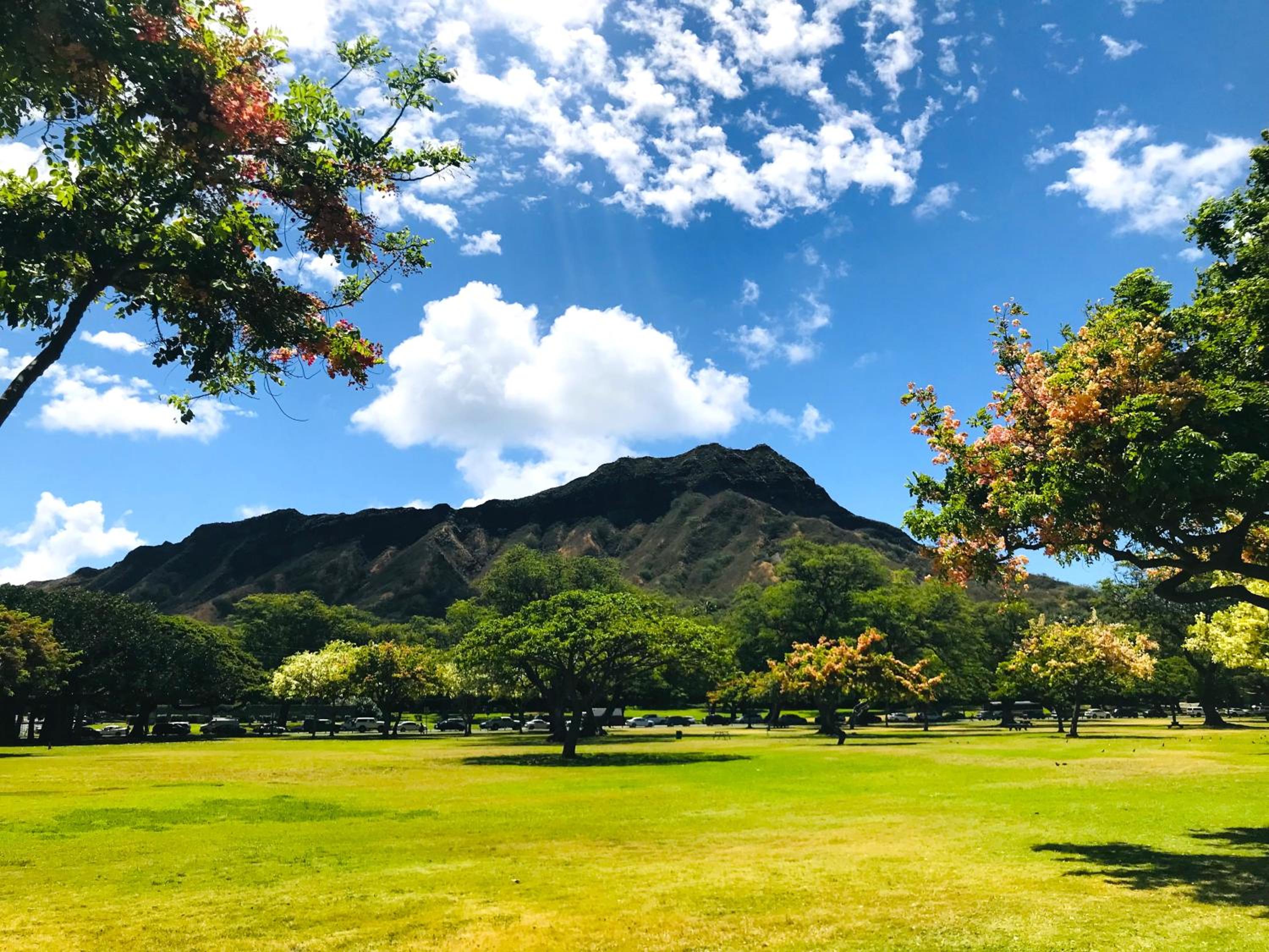 Royal Kuhio 1708 - Spacious Corner Unit with Stunning Ocean City Views in the Heart of Waikiki!: Apartment photo