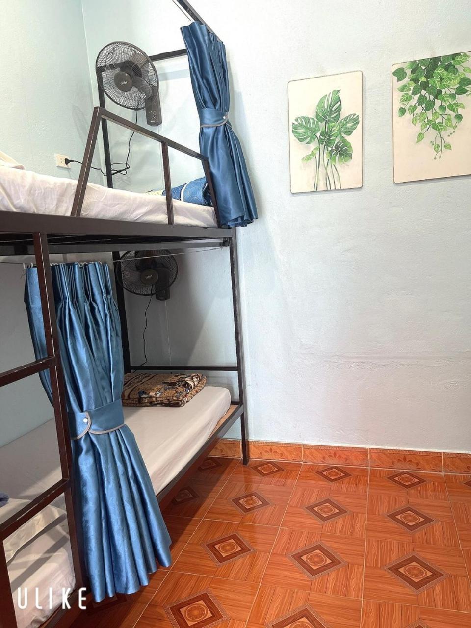 Bed in 6-Bed Mixed Dormitory Room photo 1