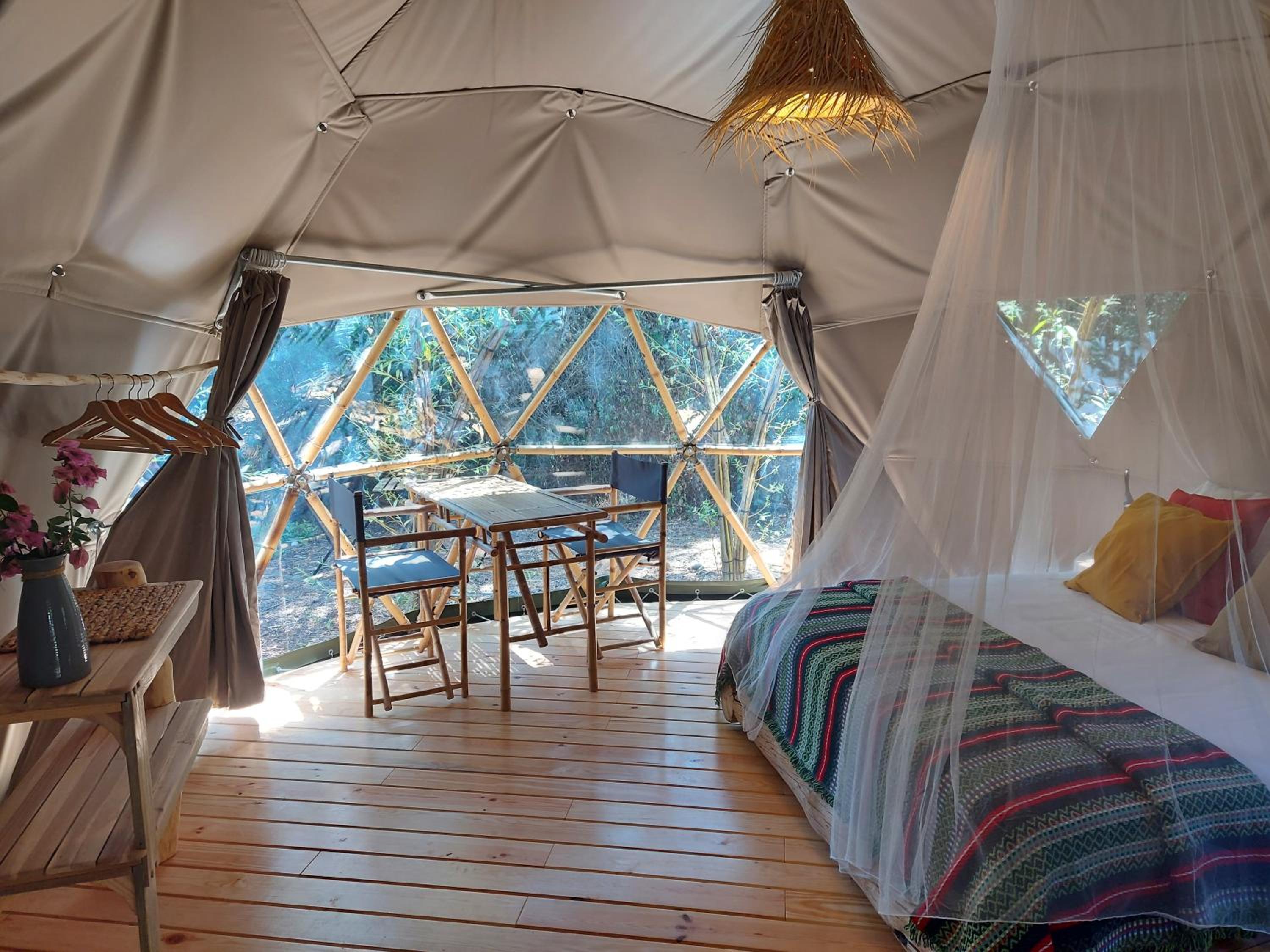 Double Willow Tree Domo Tent photo 1