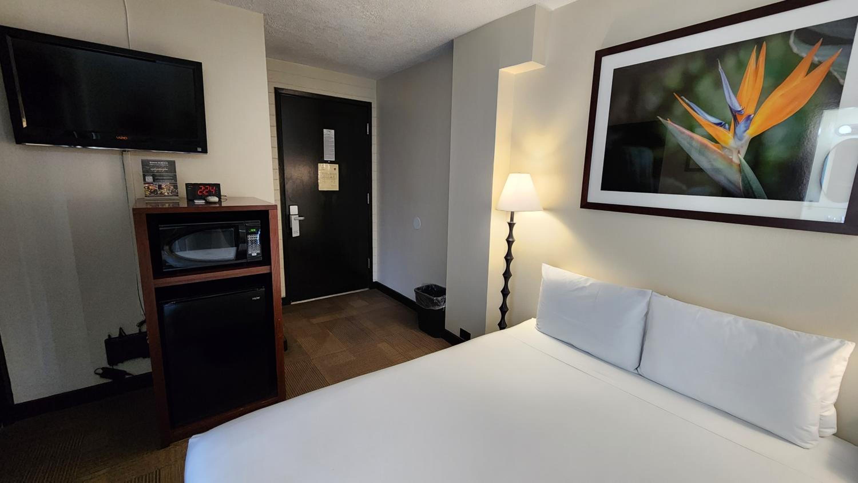 Boutique Queen Room photo 2