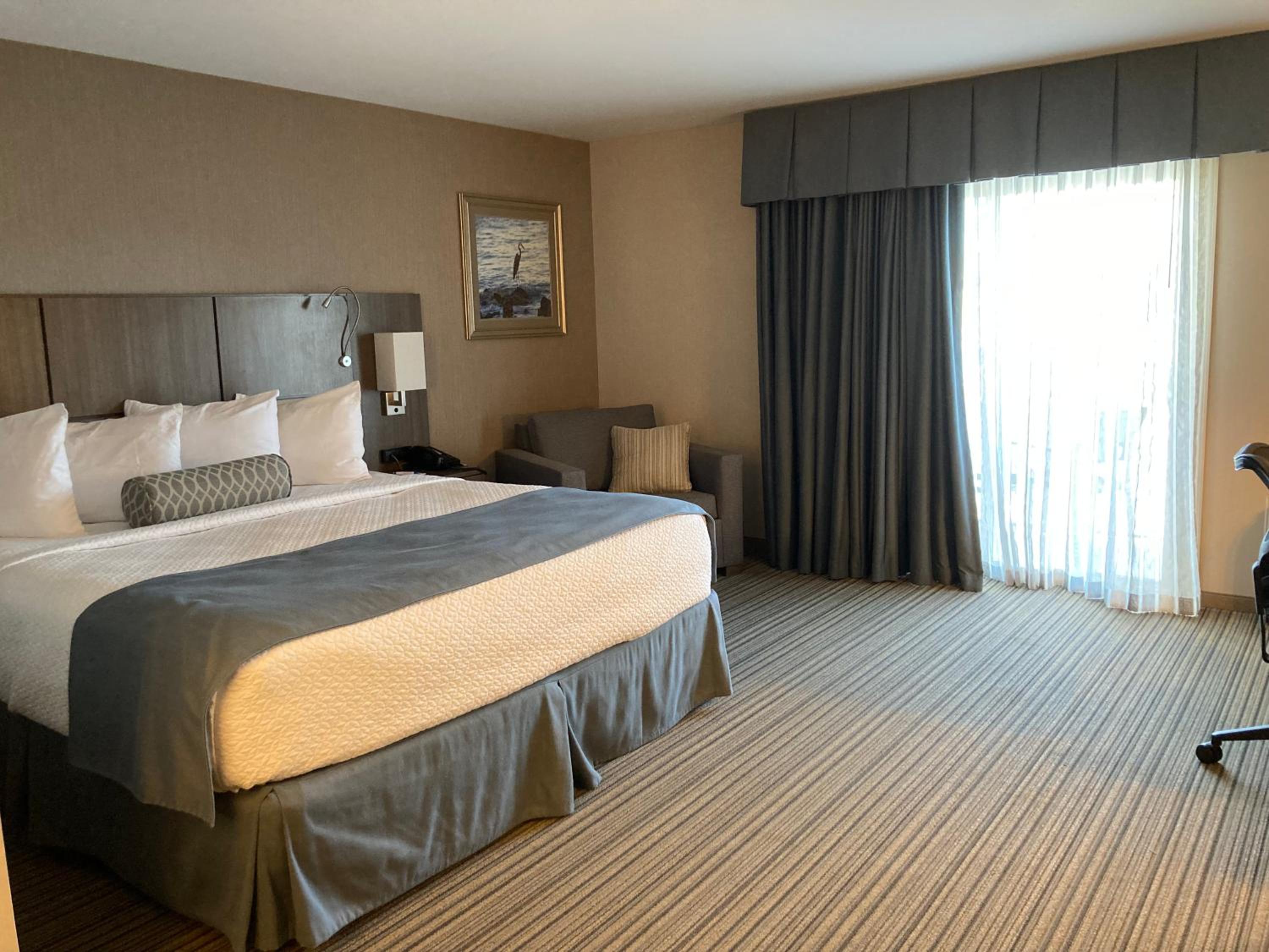King Room - Disability Access photo 2