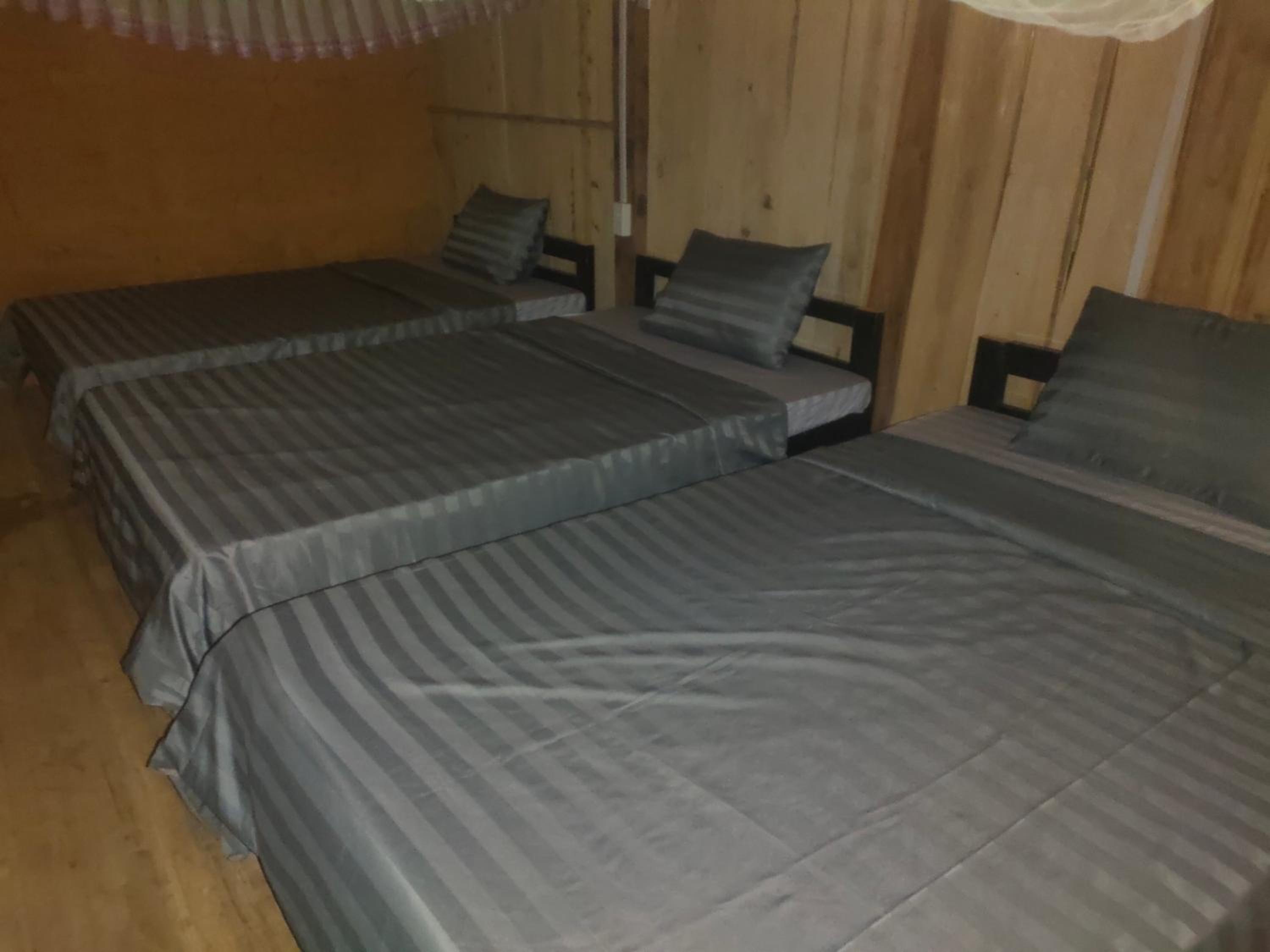 Bunk Bed in Mixed Dormitory Room photo 2