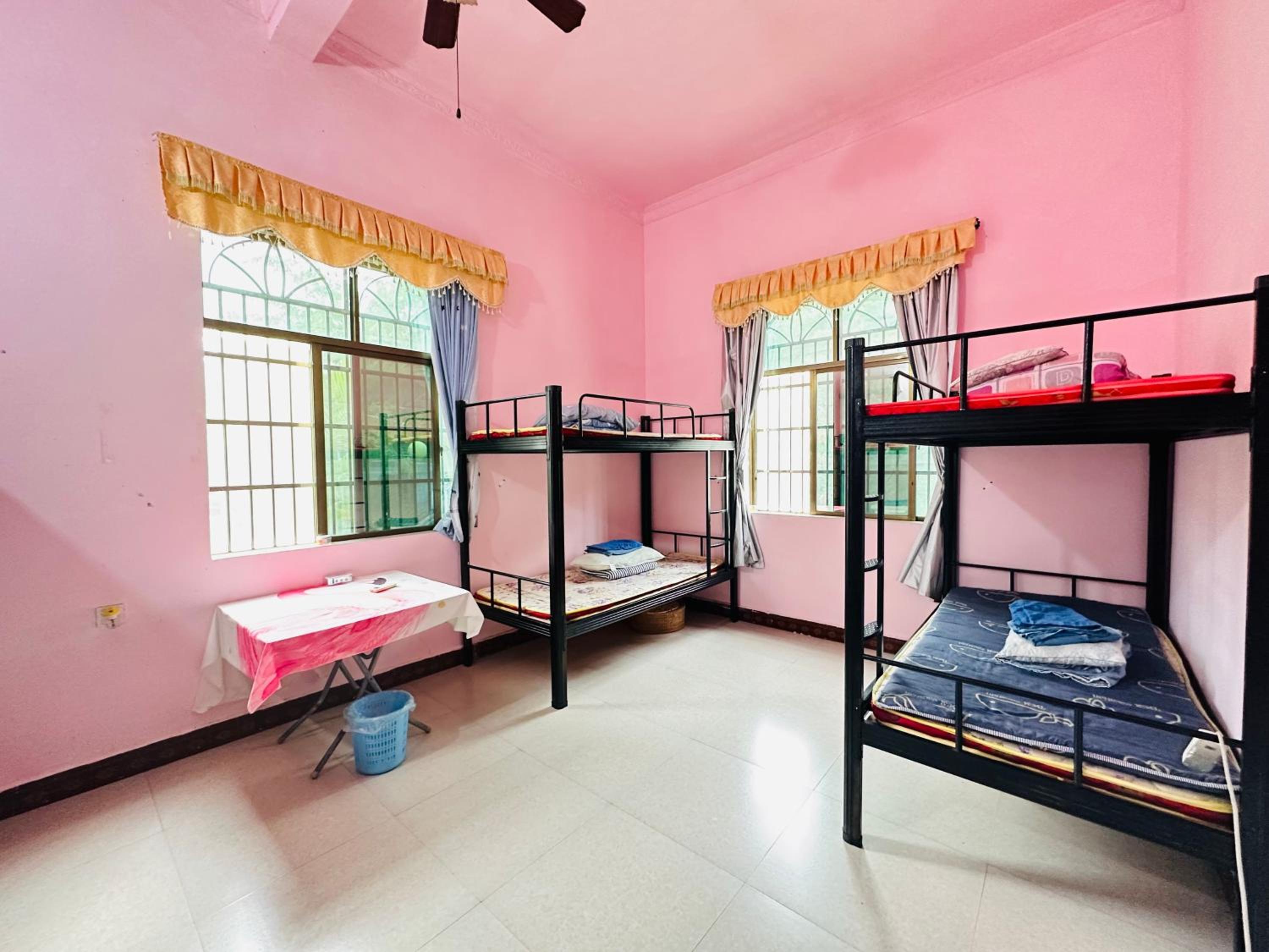Bed in 6-Bed Female Dormitory Room photo 2