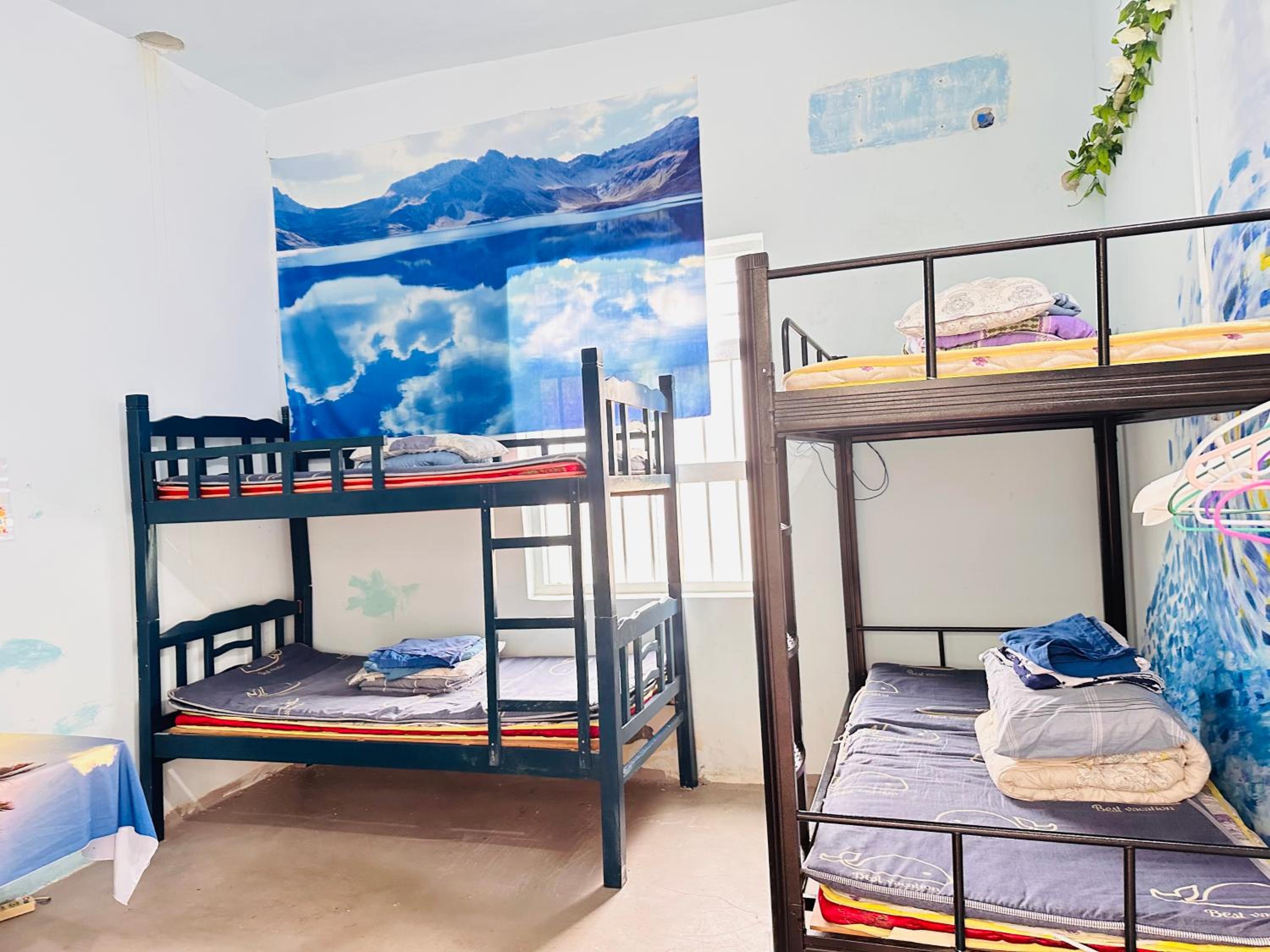 Bed in 6-Bed Male Dormitory Room photo 3