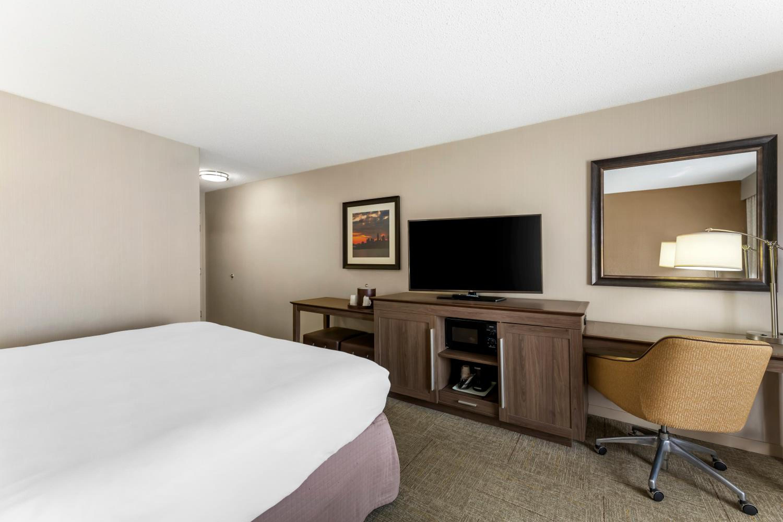 King Room - Non-Smoking - Photo 5