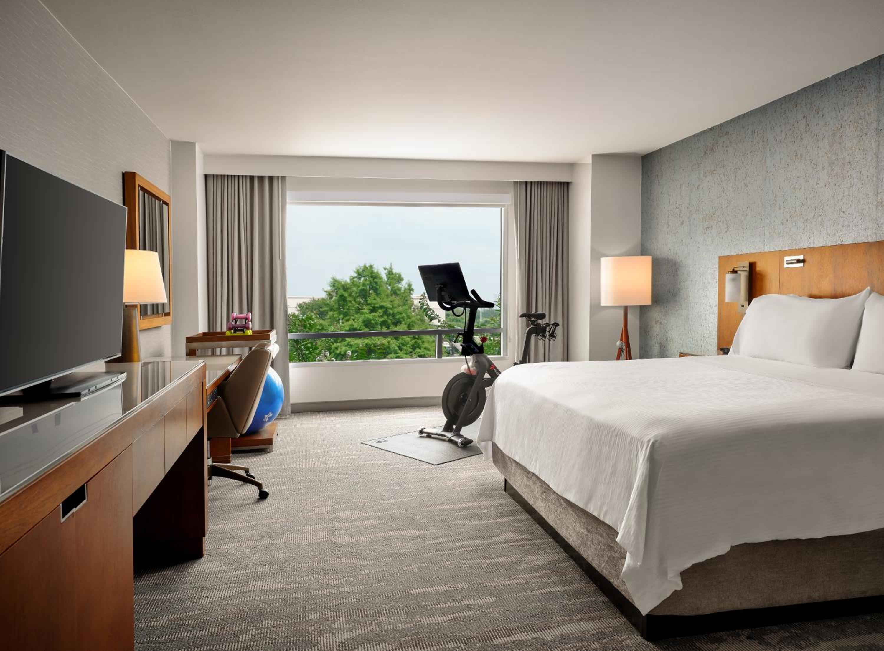 King Workout Room, Guest room, 1 King