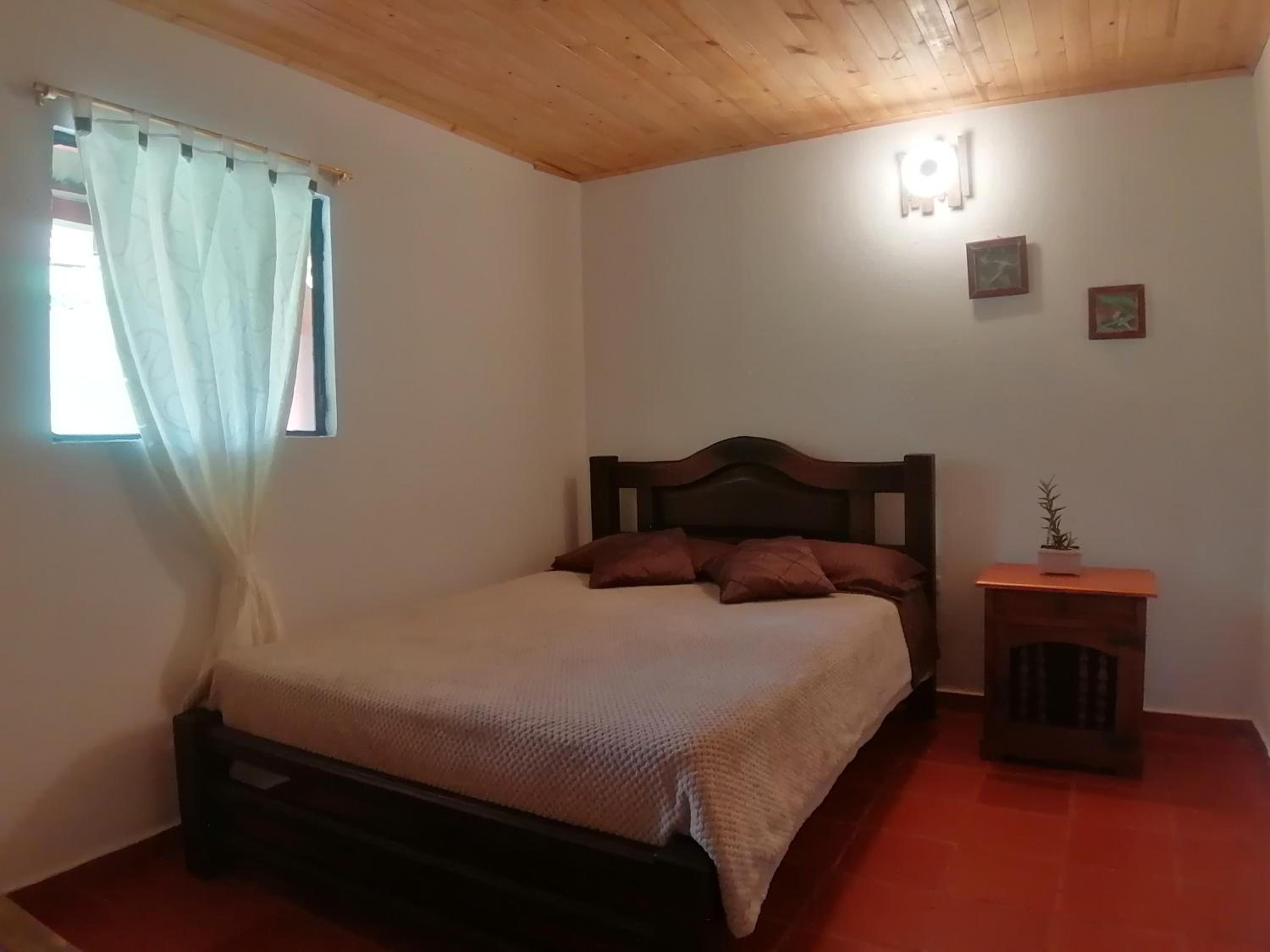 Superior Double Room photo 3