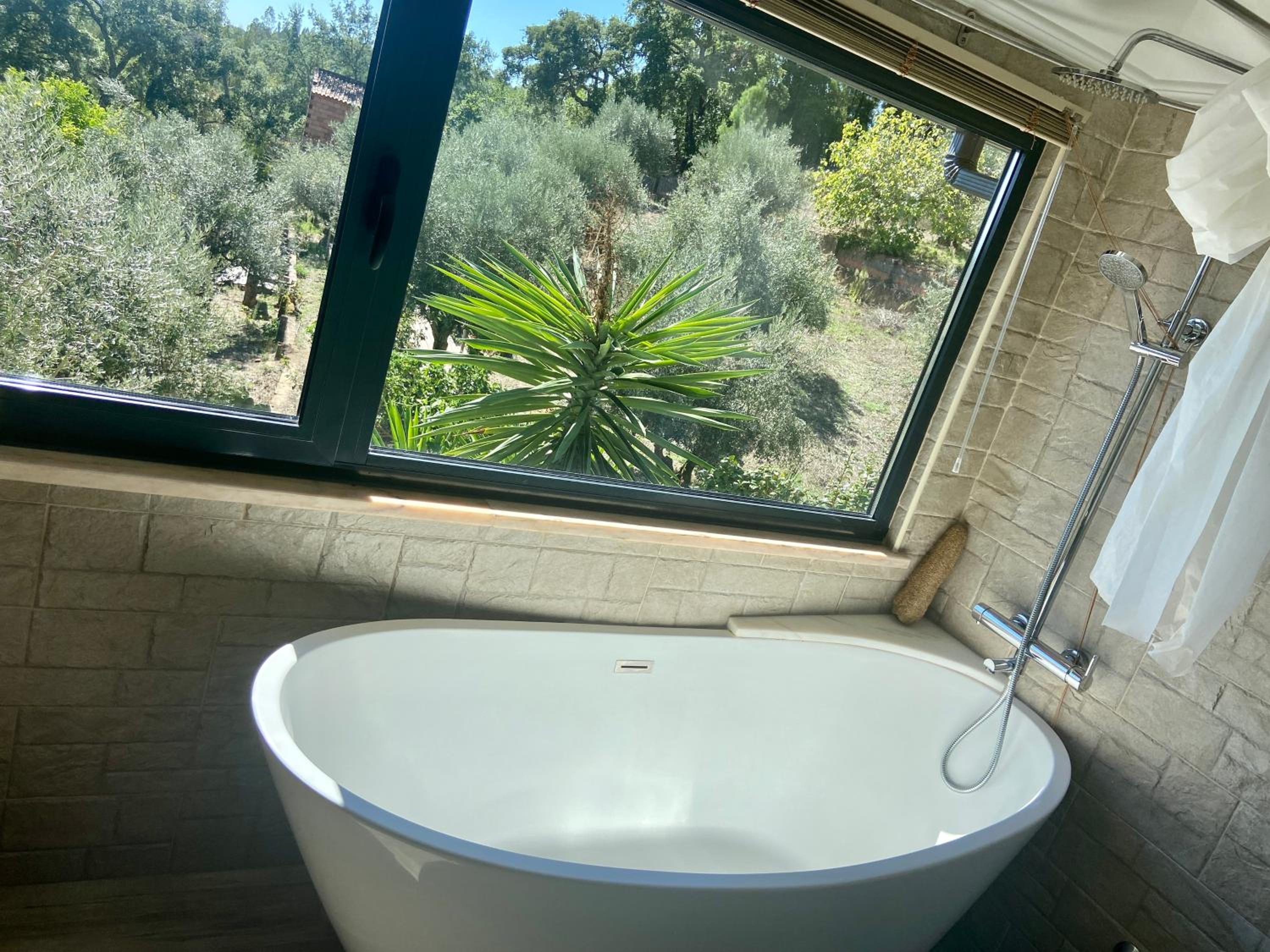 Single Room with Bath photo 2