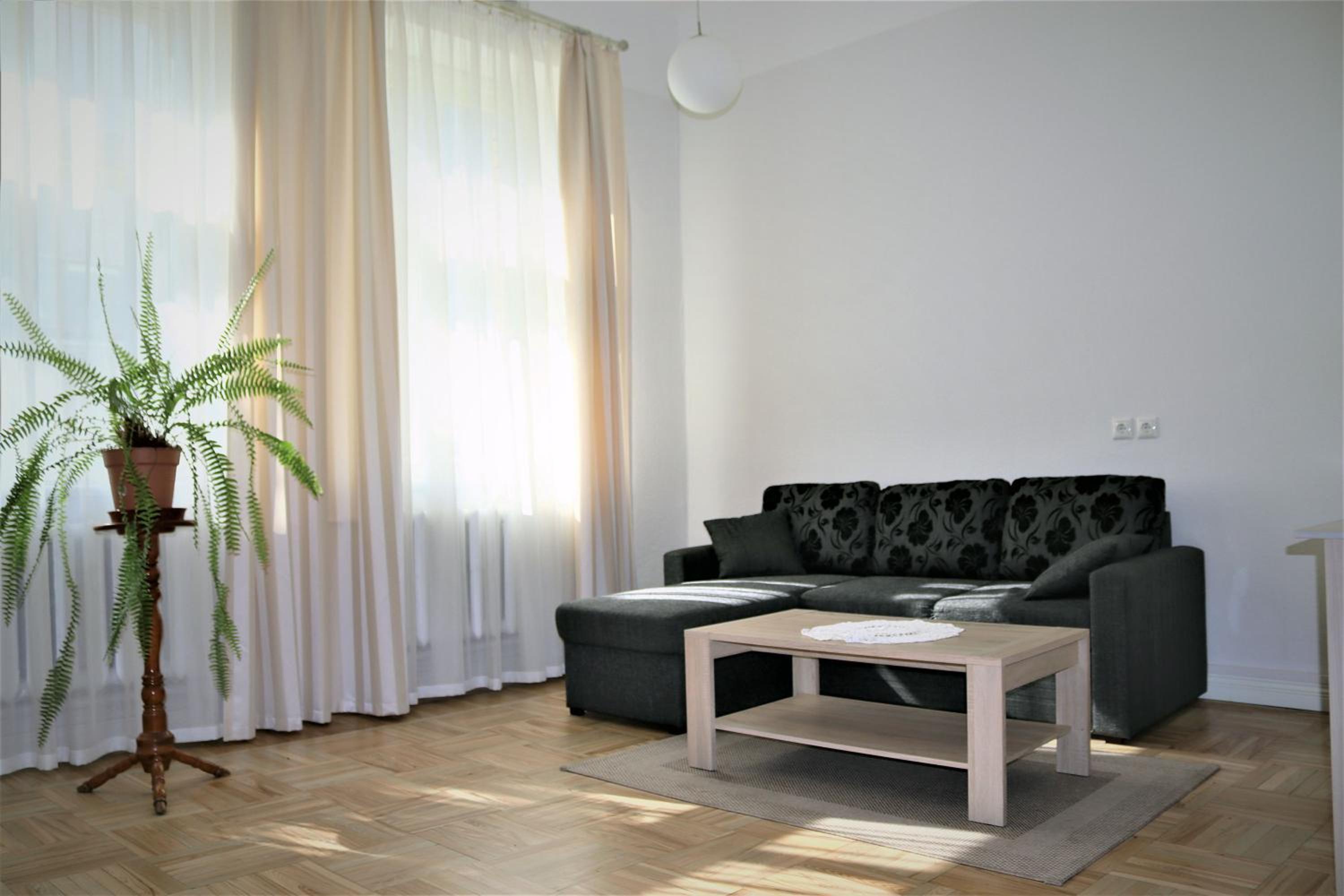 Suite - Photo 5