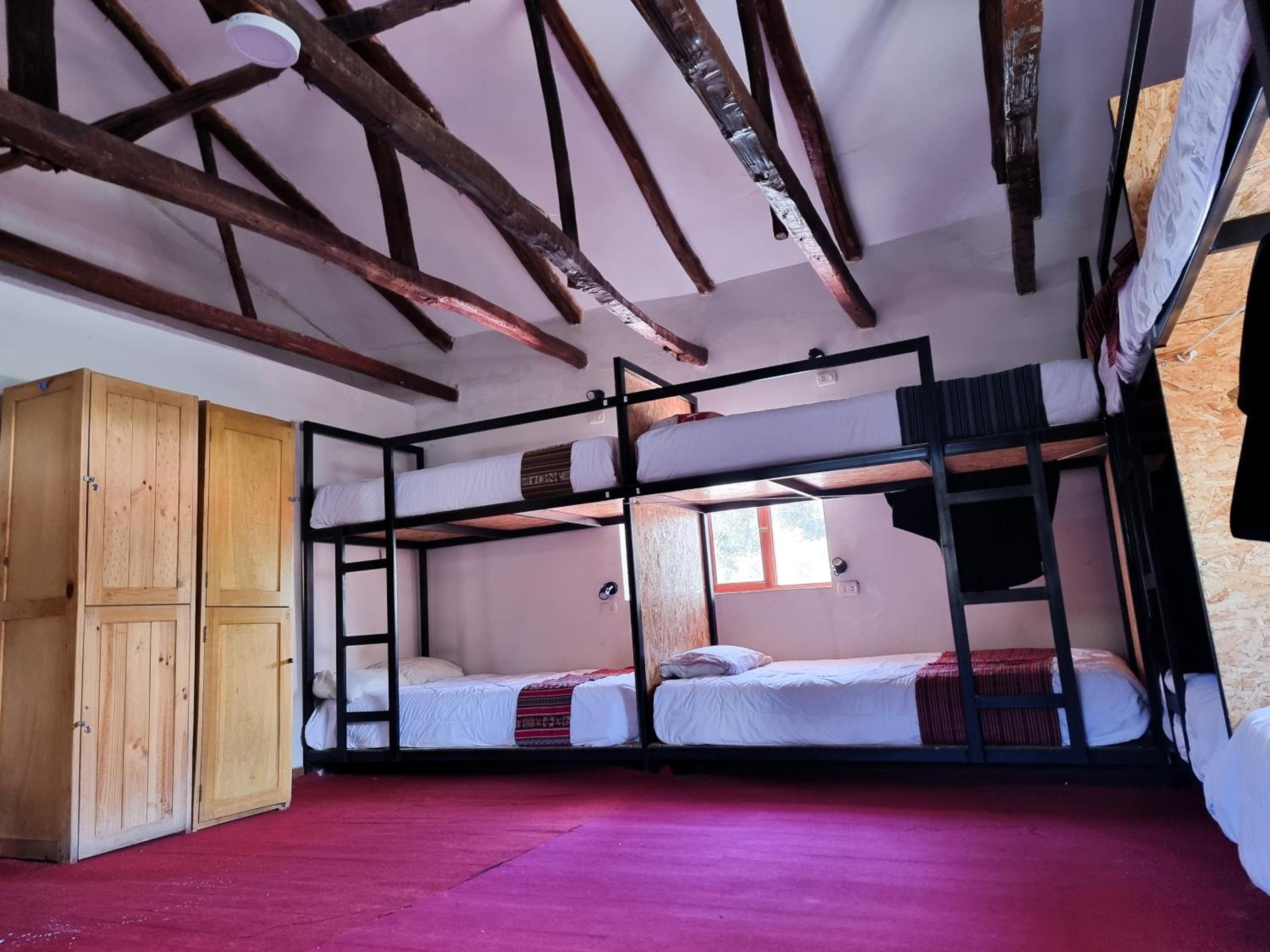 Bunk Bed in Mixed Dormitory Room photo 1