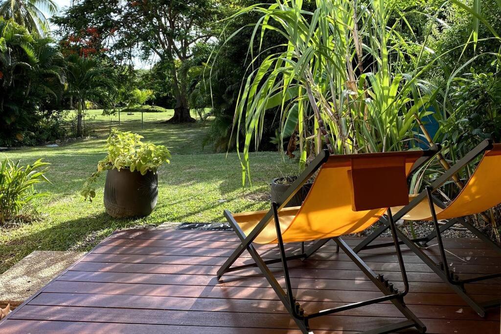 Studio With Garden View photo 1