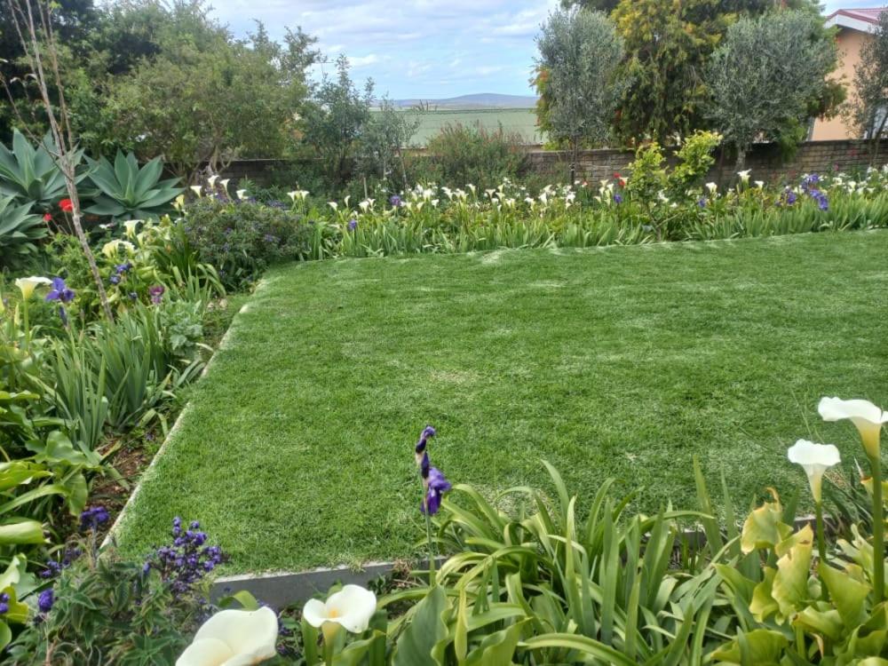 Studio with Garden View photo 1