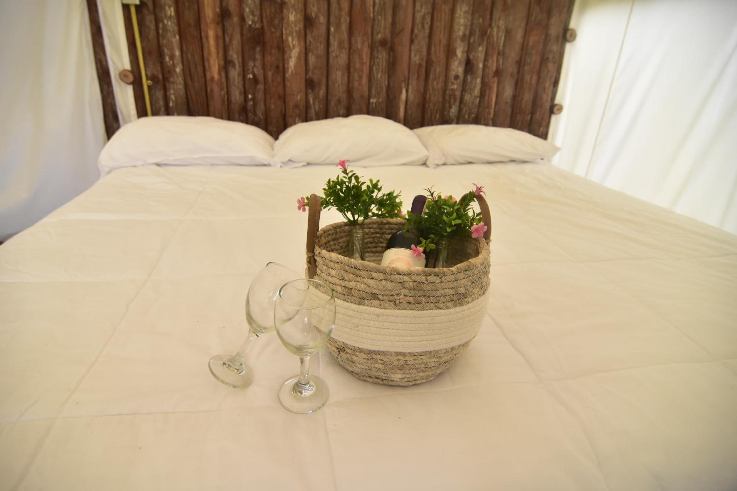 Tent photo 1