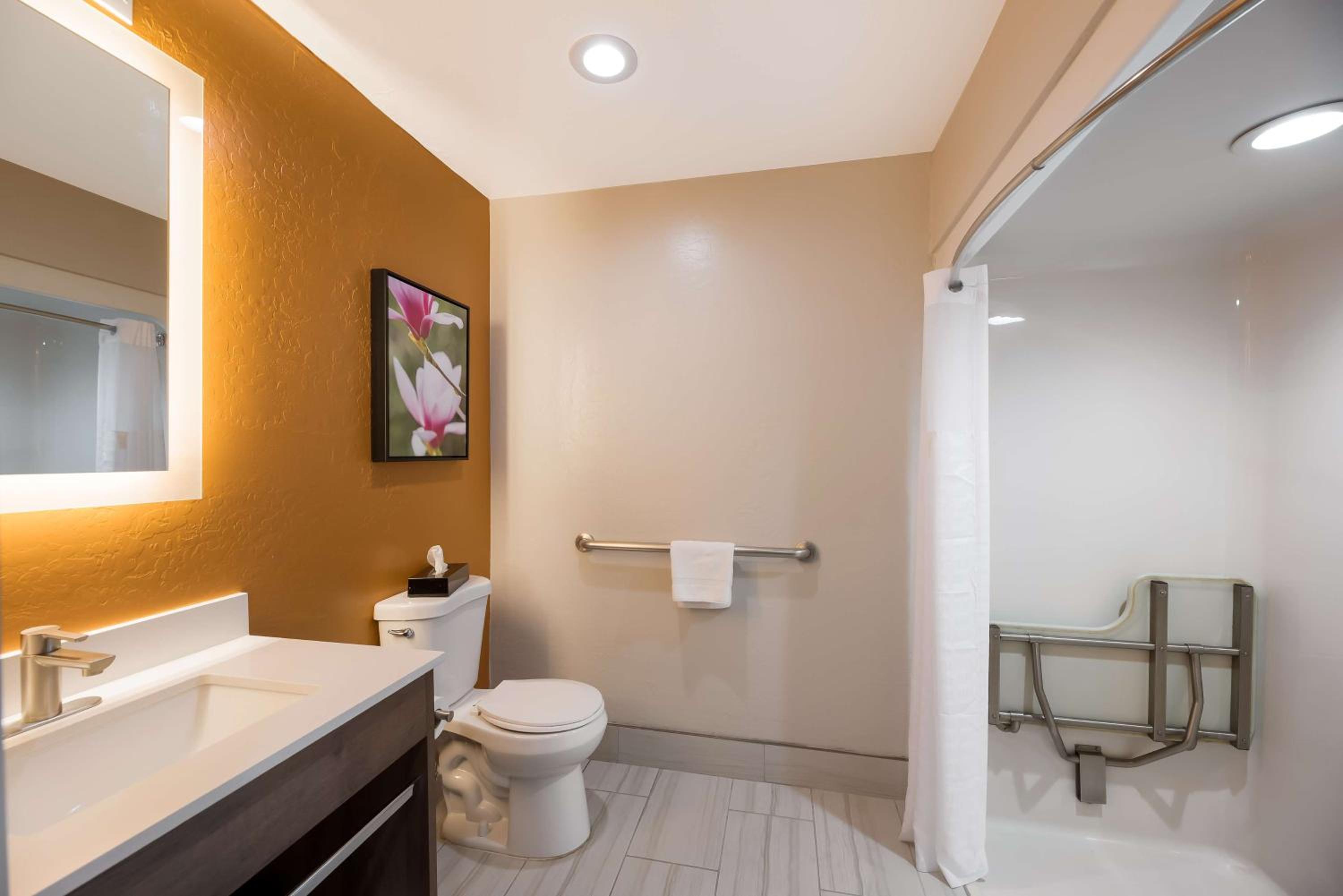 King Room with Roll-In Shower - Mobility Accessible - Photo 2