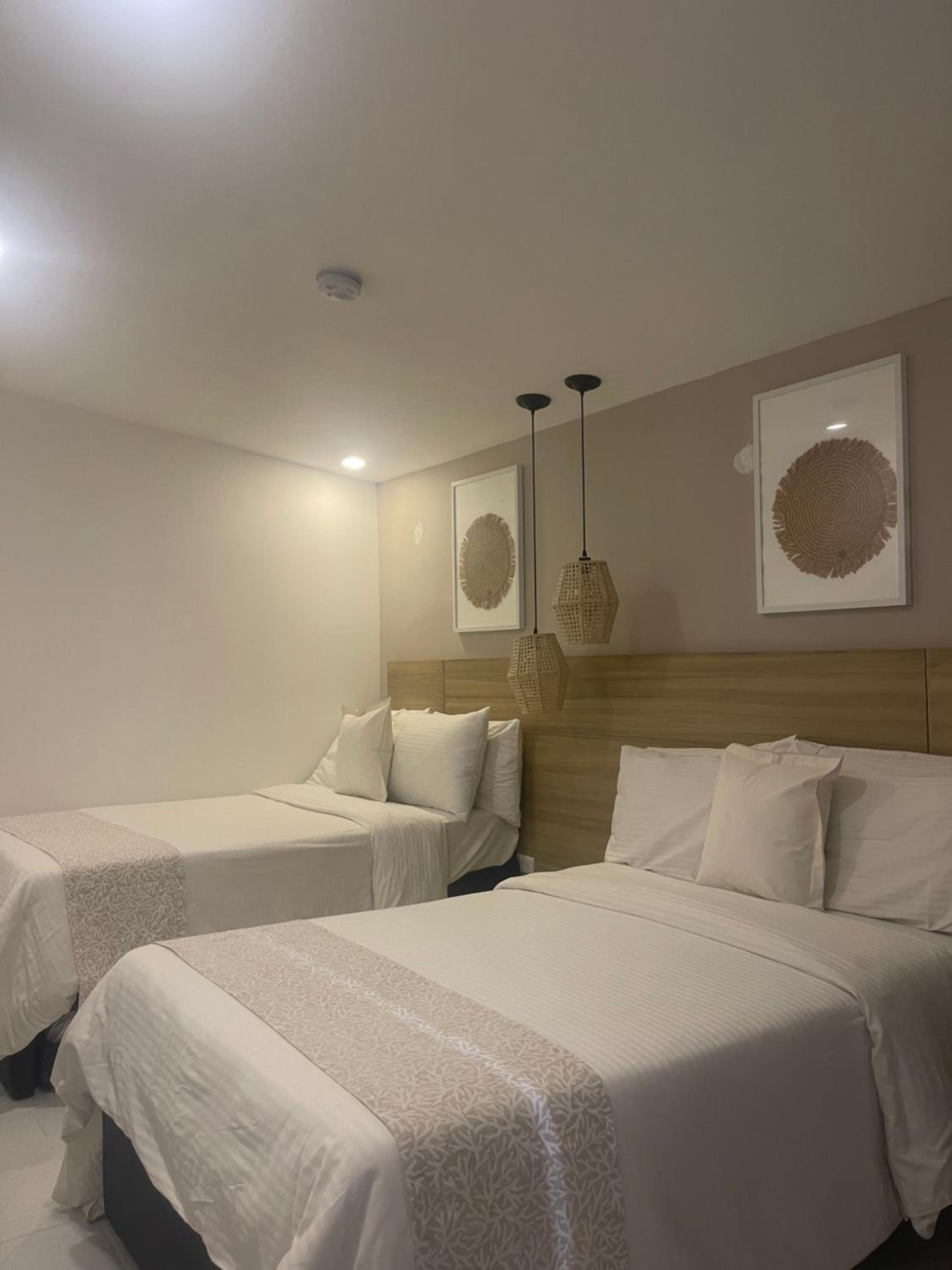 Twin Room photo 1