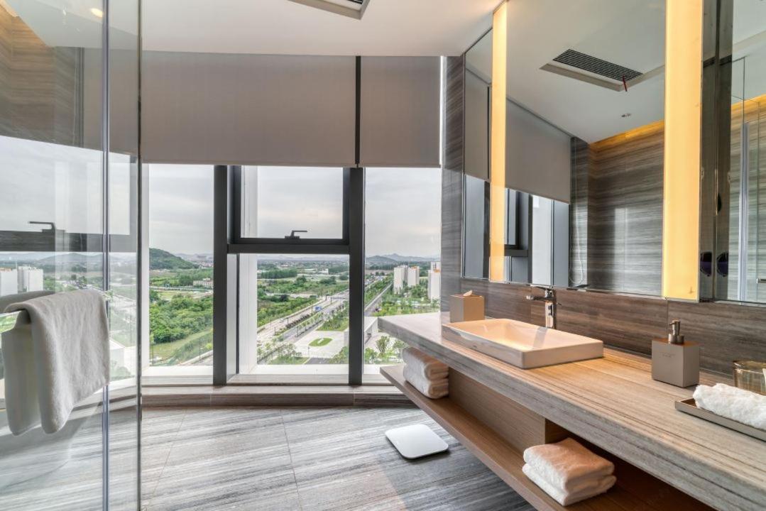 Standard King Room with City View