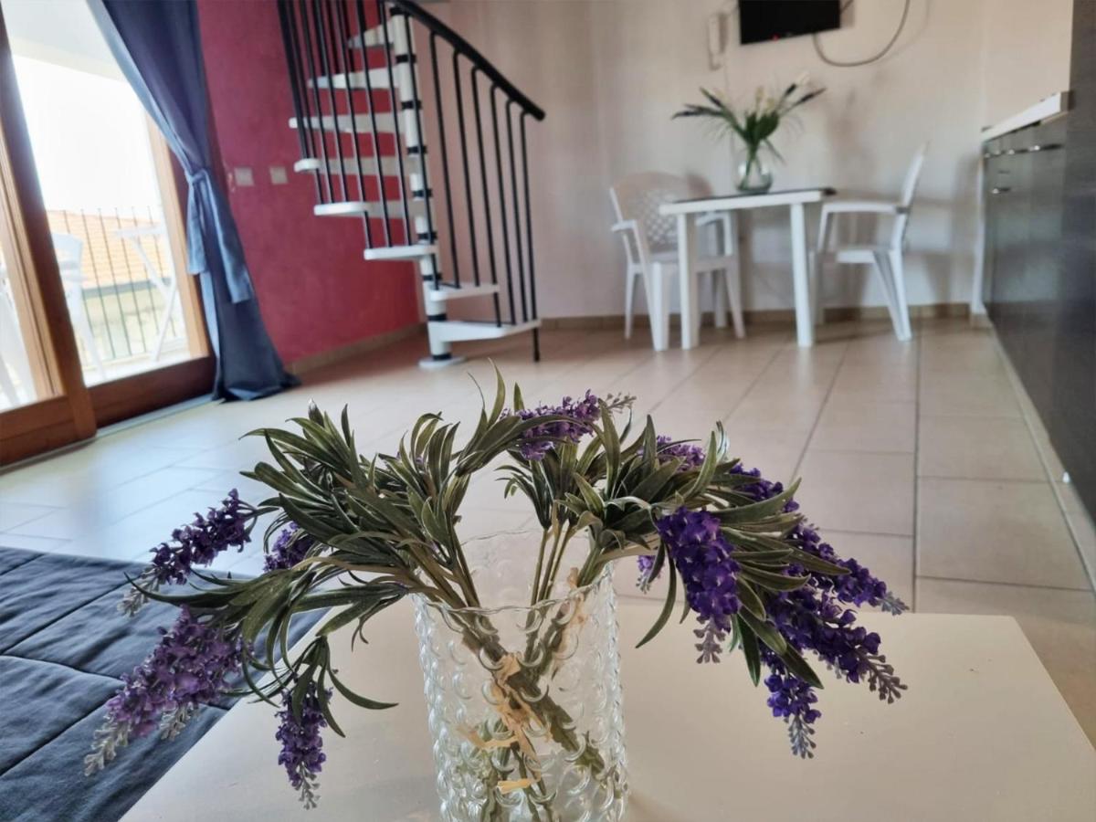 Apartment - Split Level photo 1