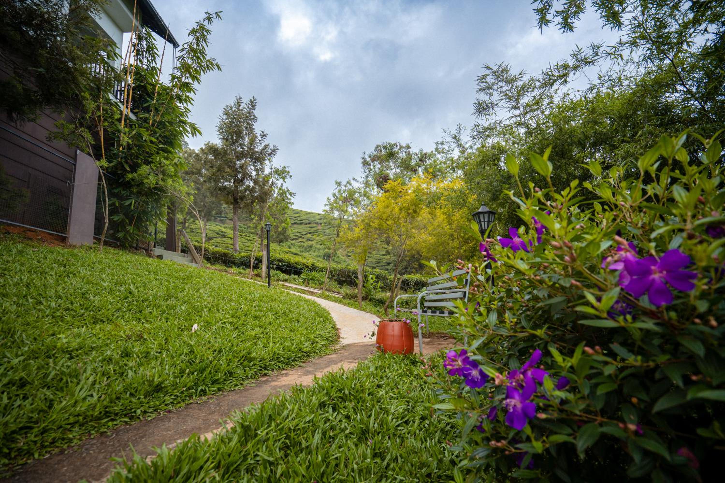 Mini Suite with Tea Plantation view photo 2