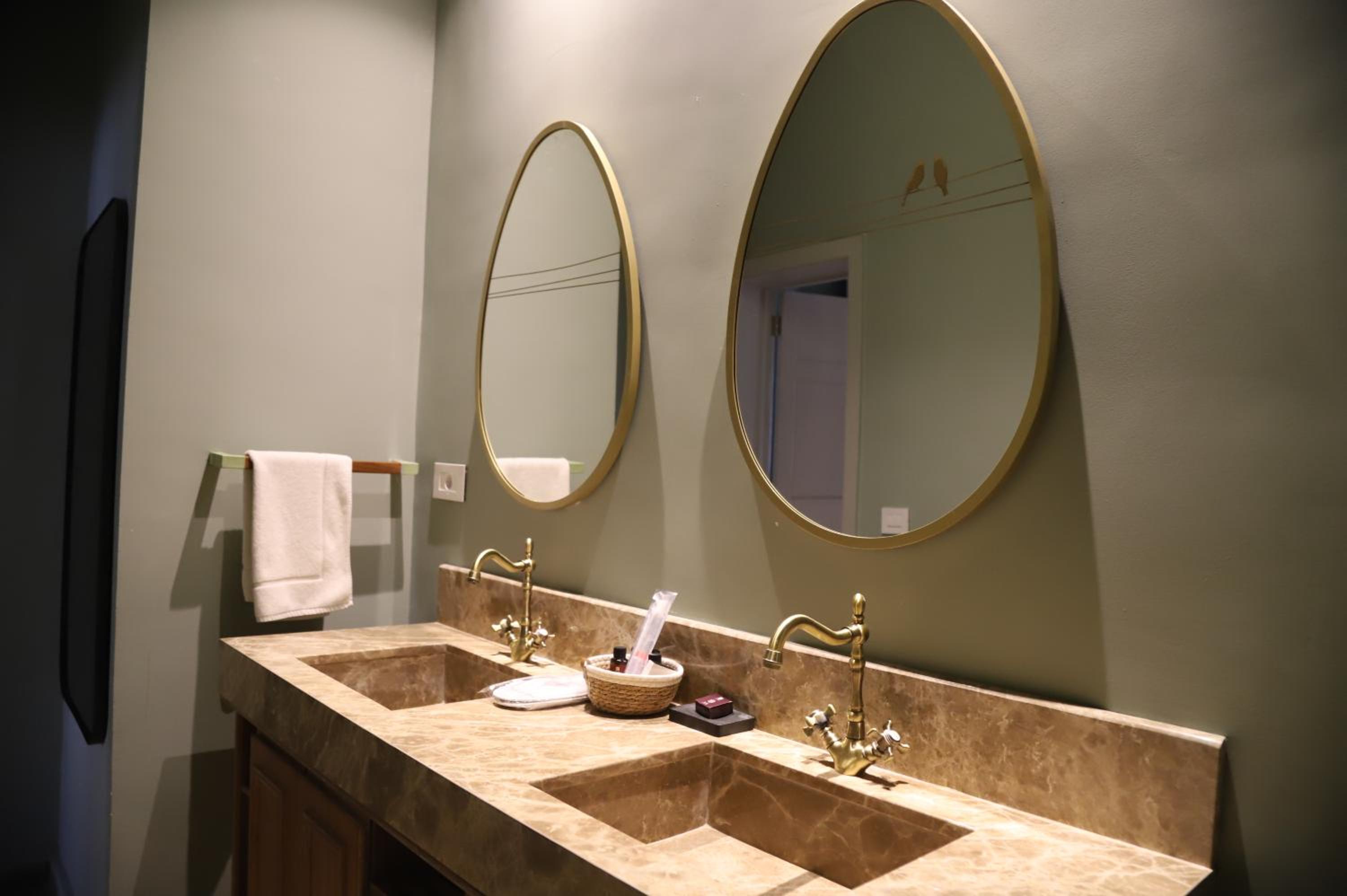 Deluxe Double or Twin Room photo 2