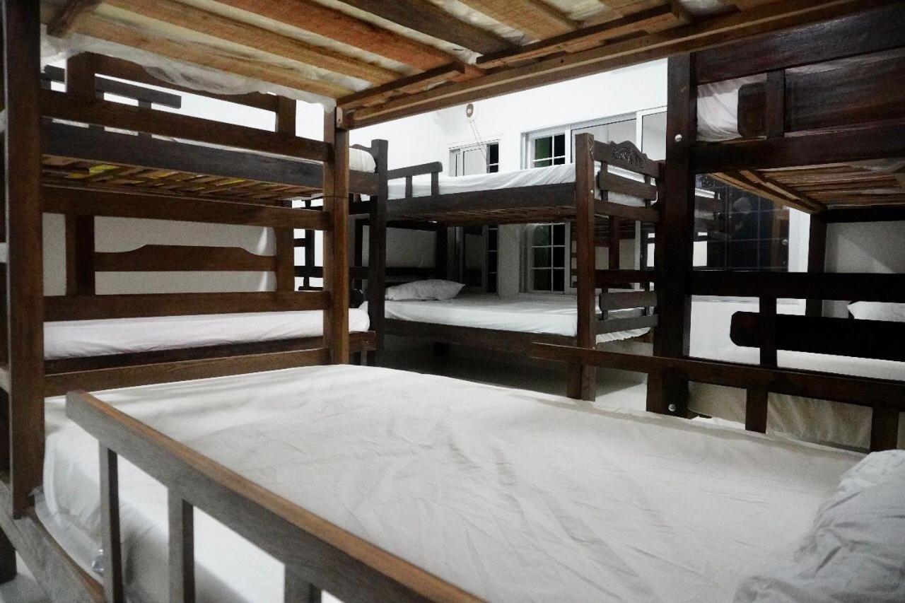 Bunk Bed In Mixed Dormitory Room photo 1