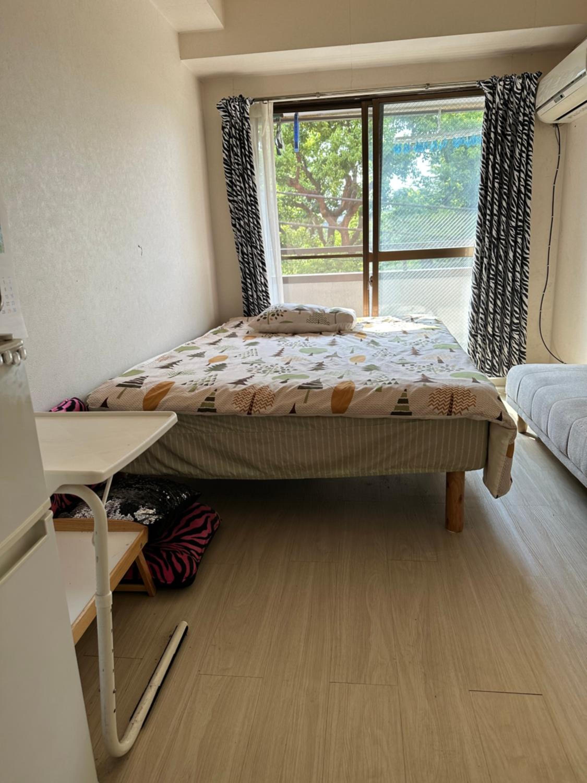 Standard Apartment photo 3