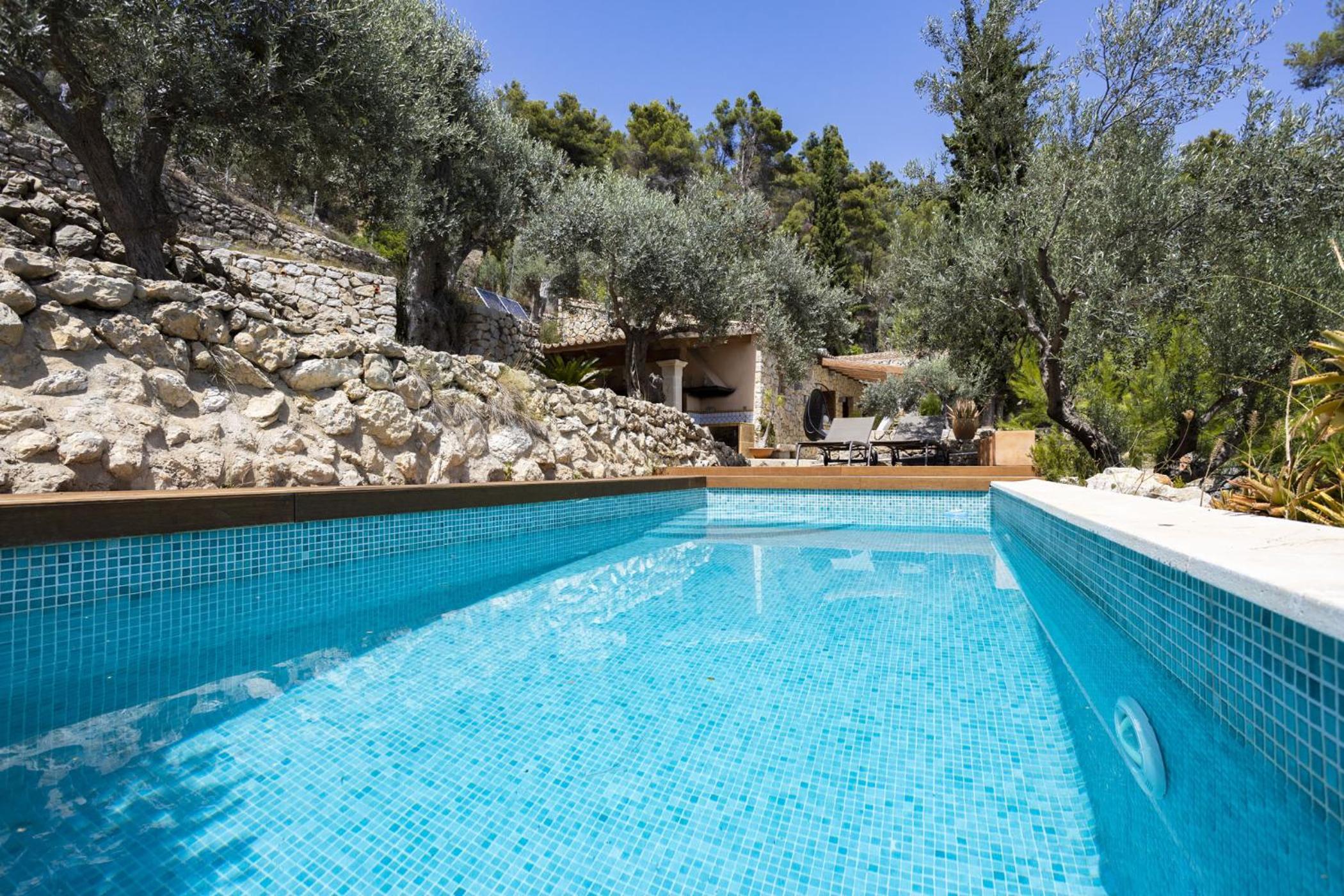 Villa with Private Pool photo 3