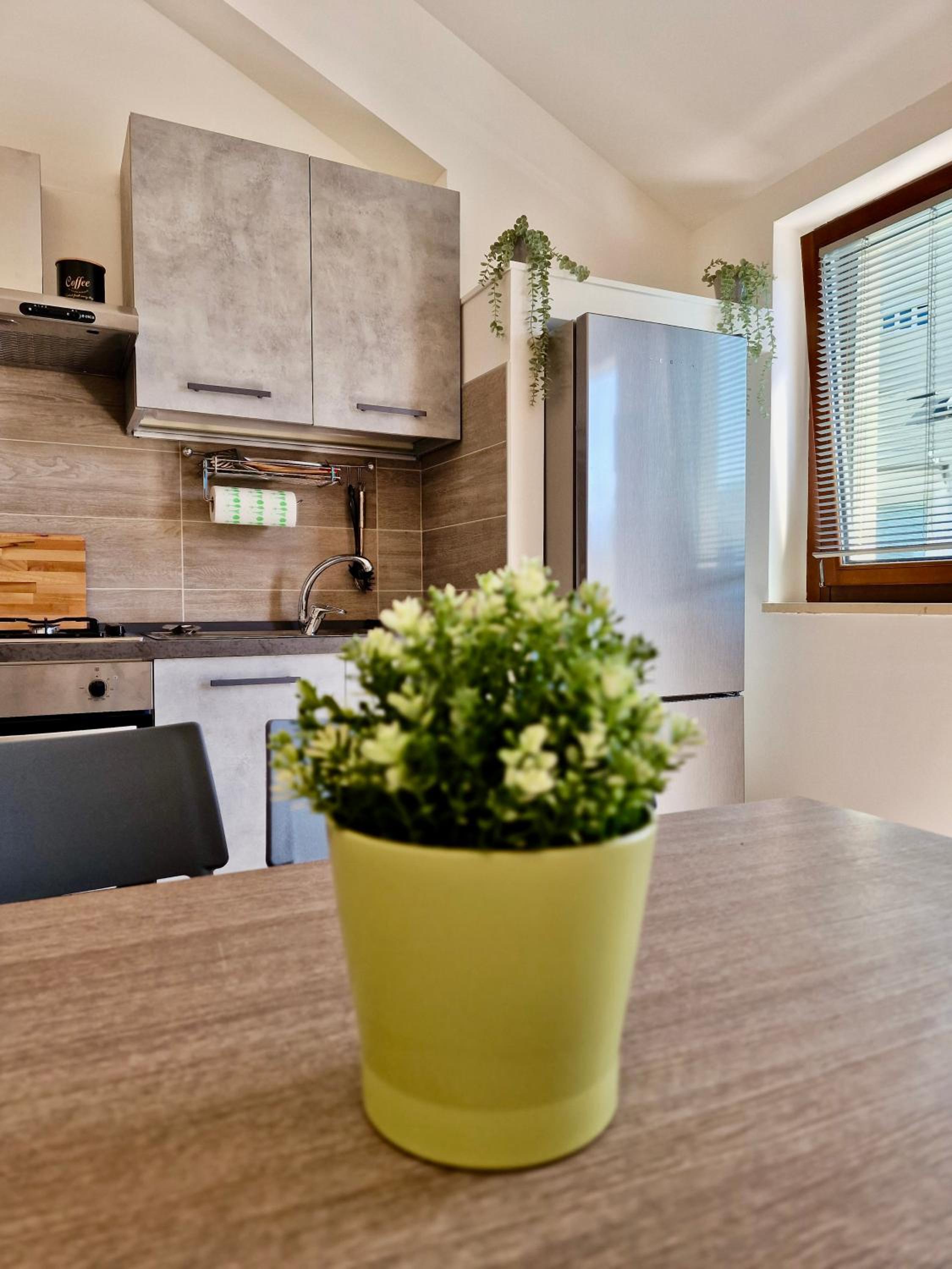 Superior Apartment photo 2