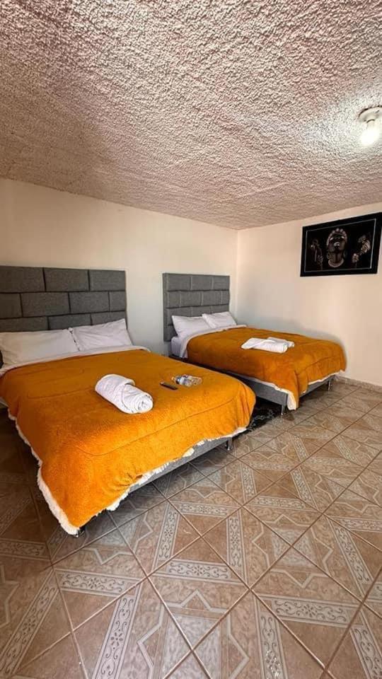 Double Room with Two Double Beds