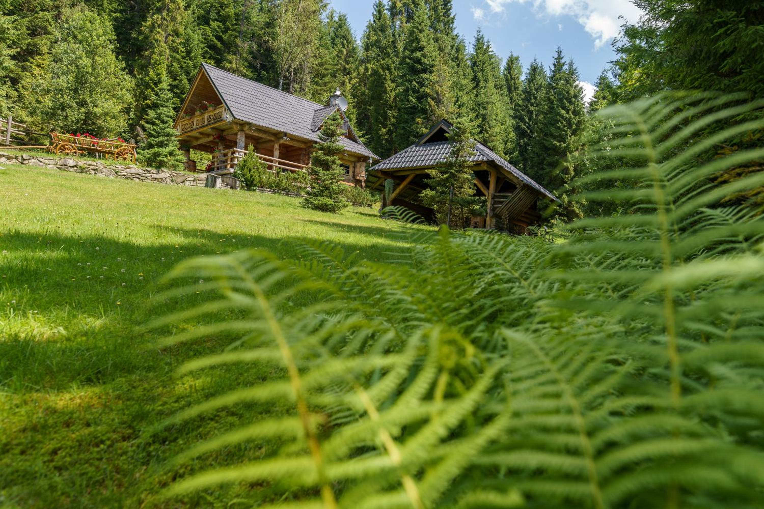 Two-Bedroom Chalet - Photo 28