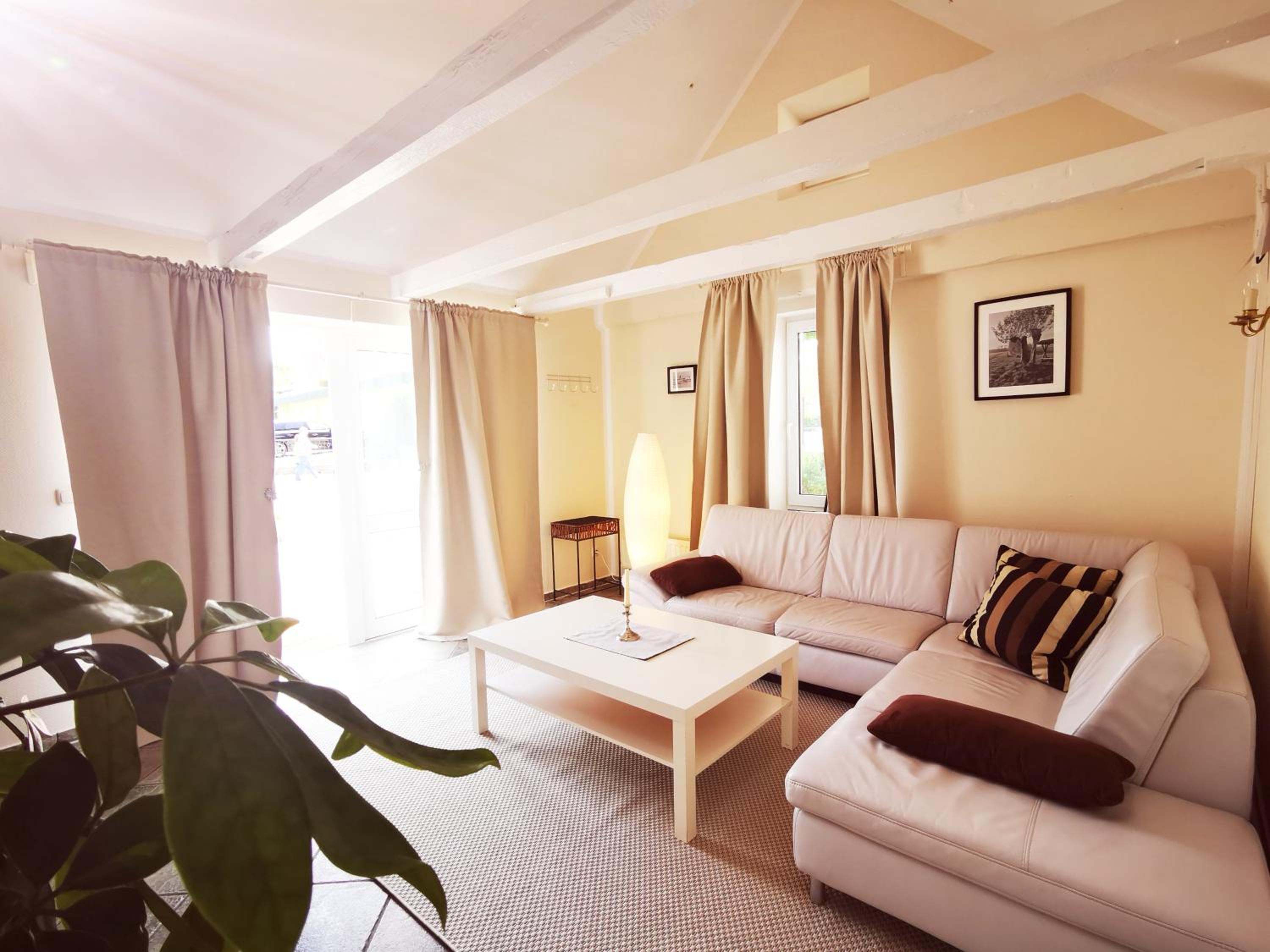 One-Bedroom Apartment photo 3