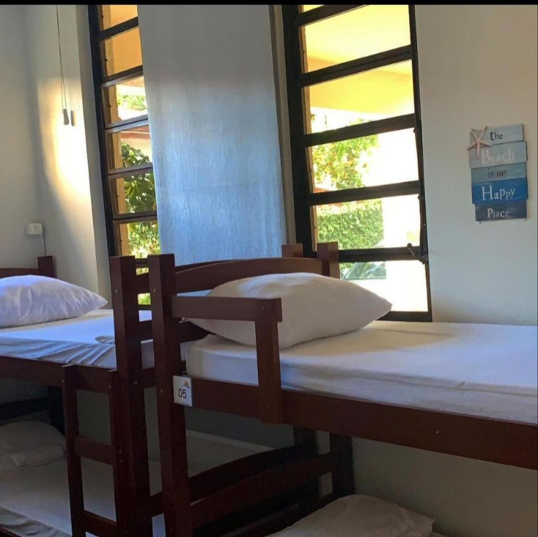 Bunk Bed in Mixed Dormitory Room photo 2