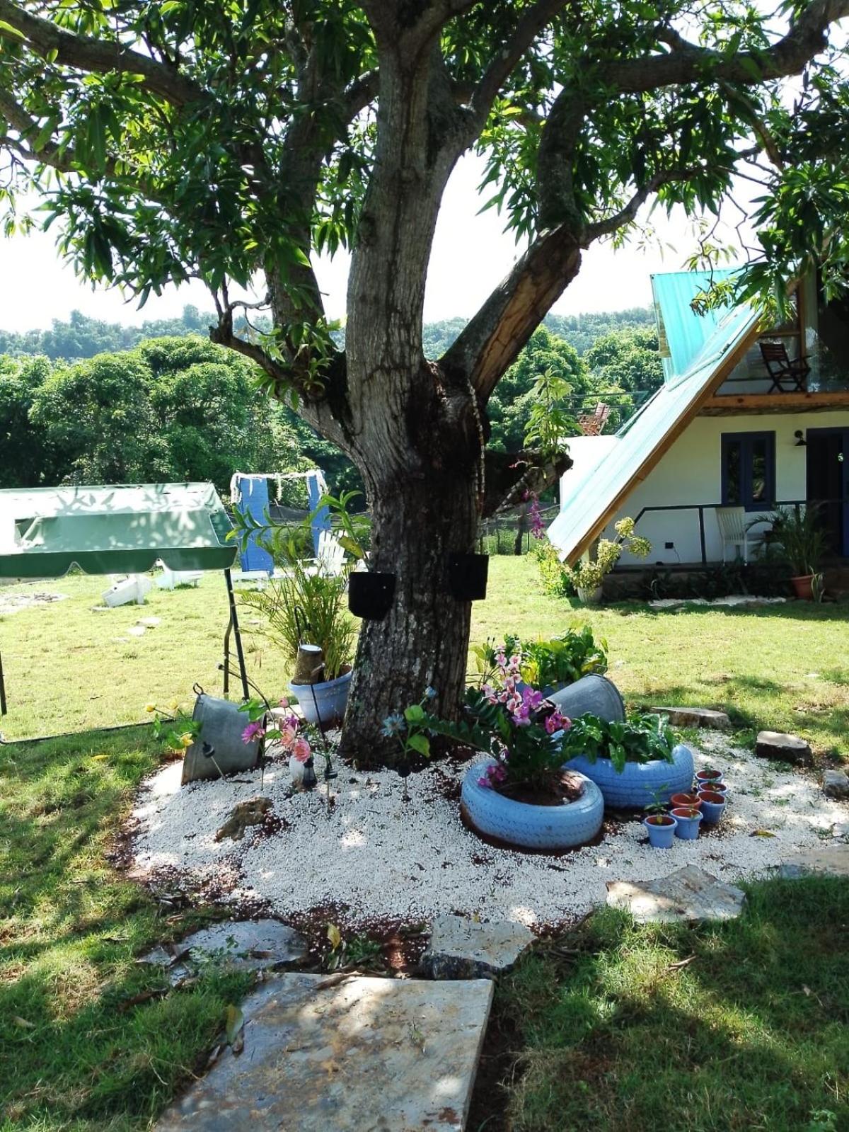 Superior Villa photo 2