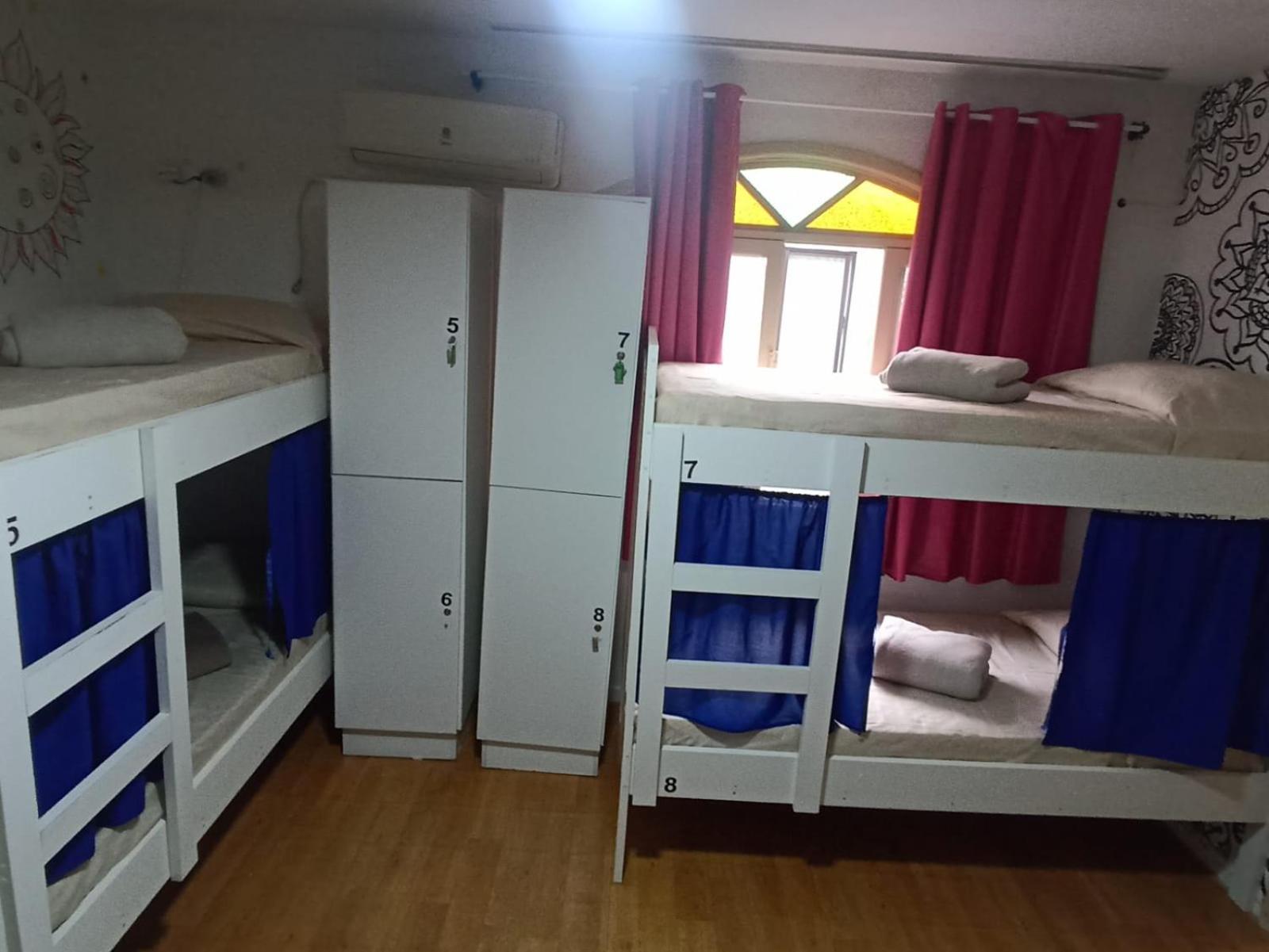 Single Bed in Female Dormitory Room photo 1