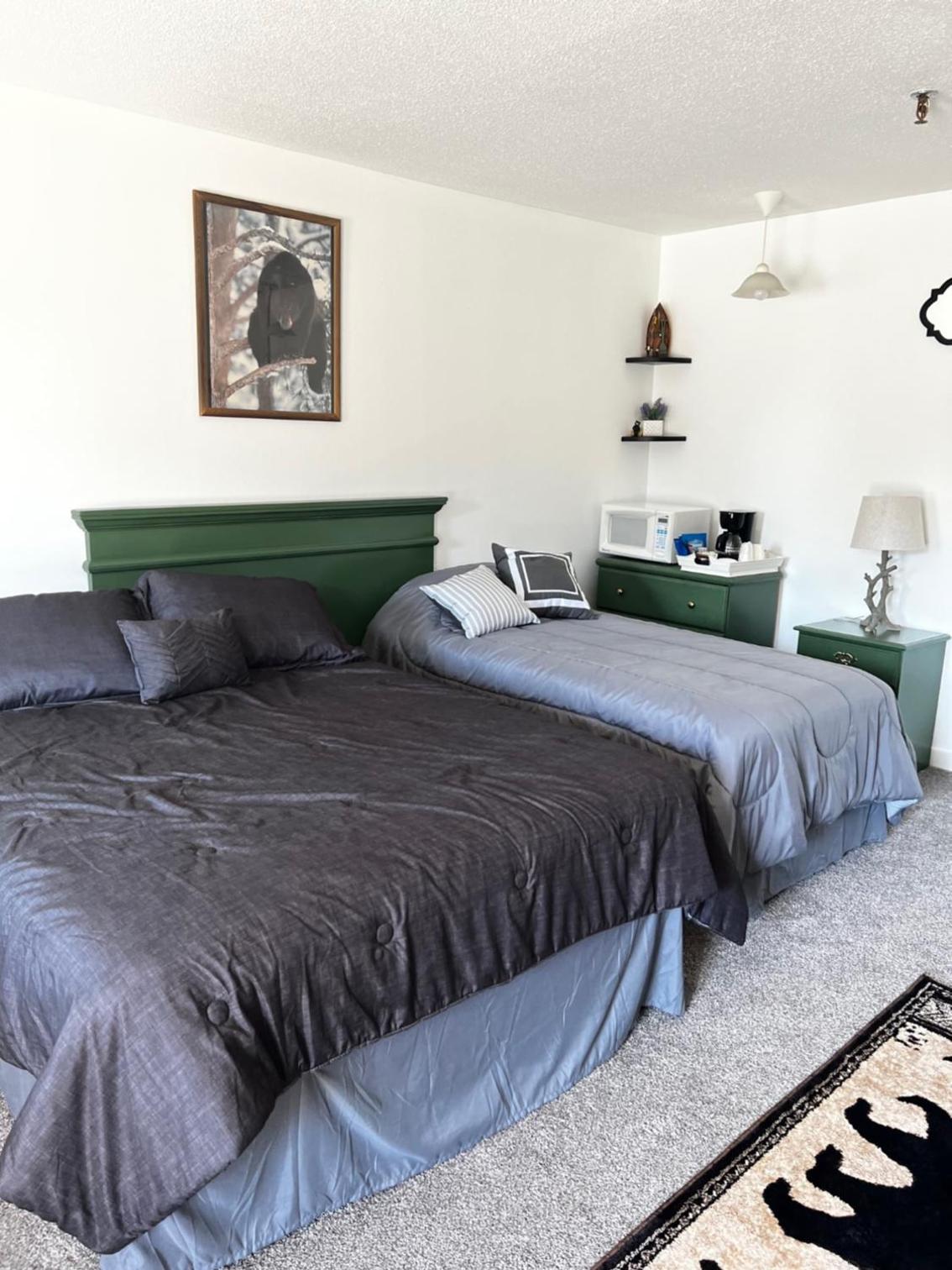 Deluxe Double or Twin Room photo 2