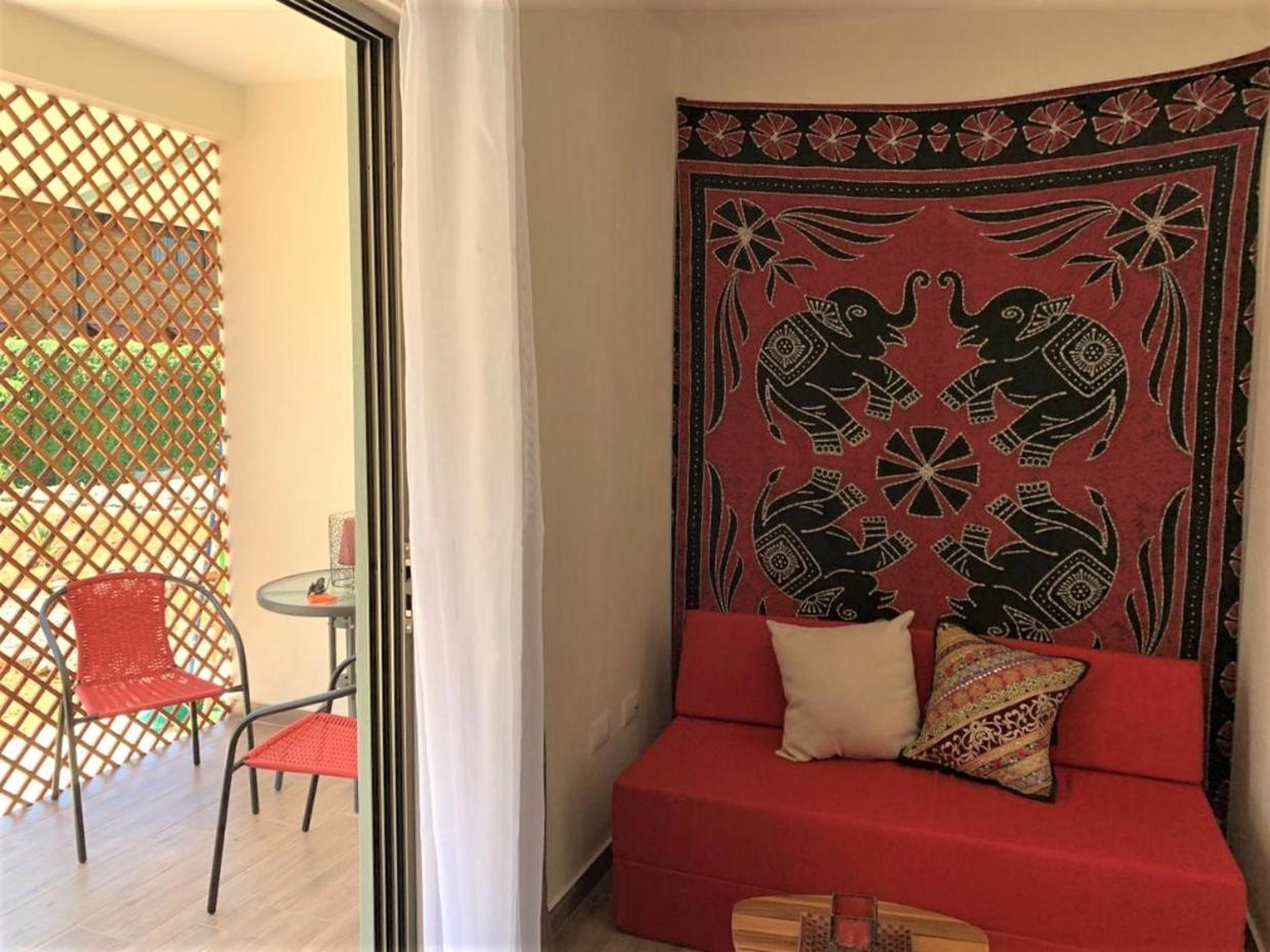 Studio with Terrace photo 1