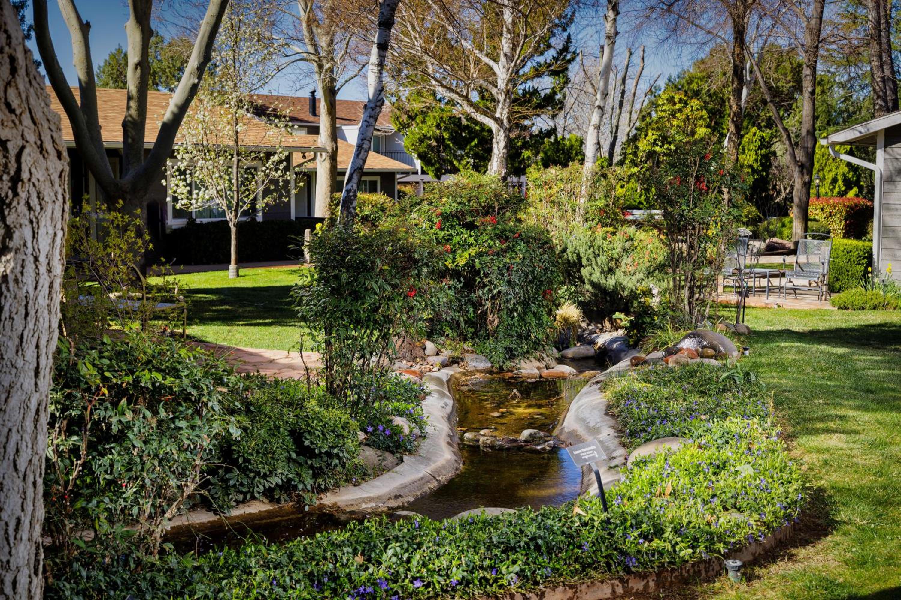 Traditional Garden King - Photo 2