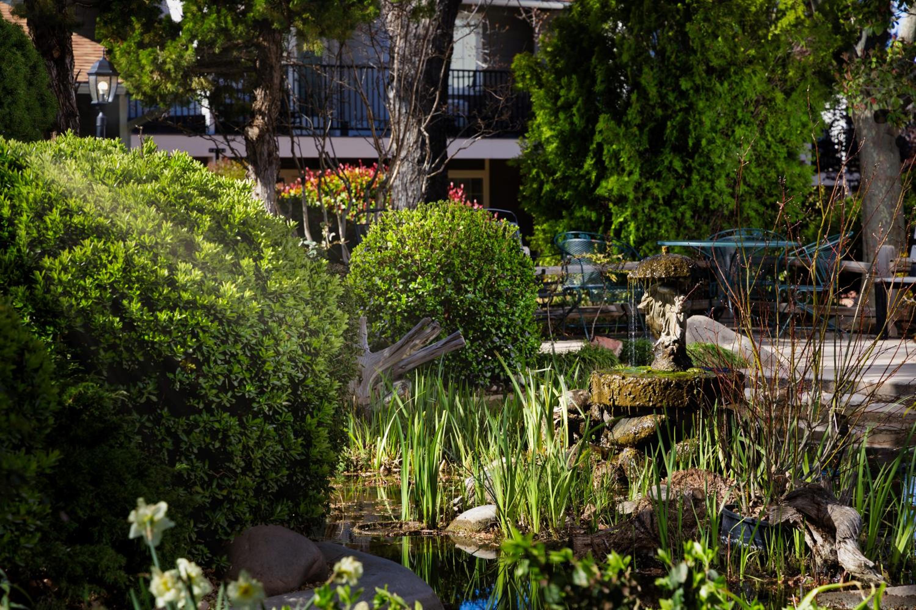 Traditional Garden King - Photo 3