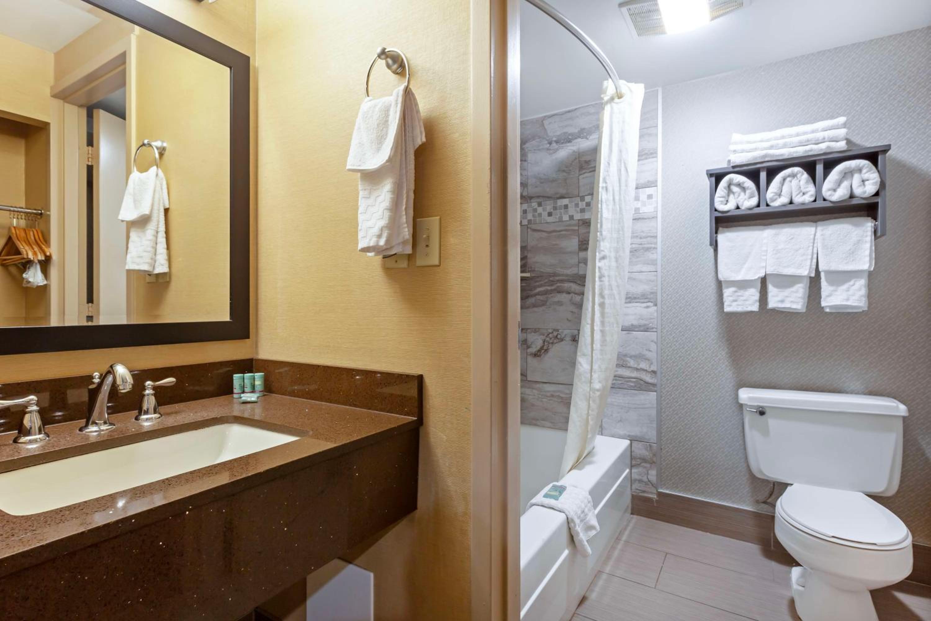King Room - Non-Smoking - Photo 4